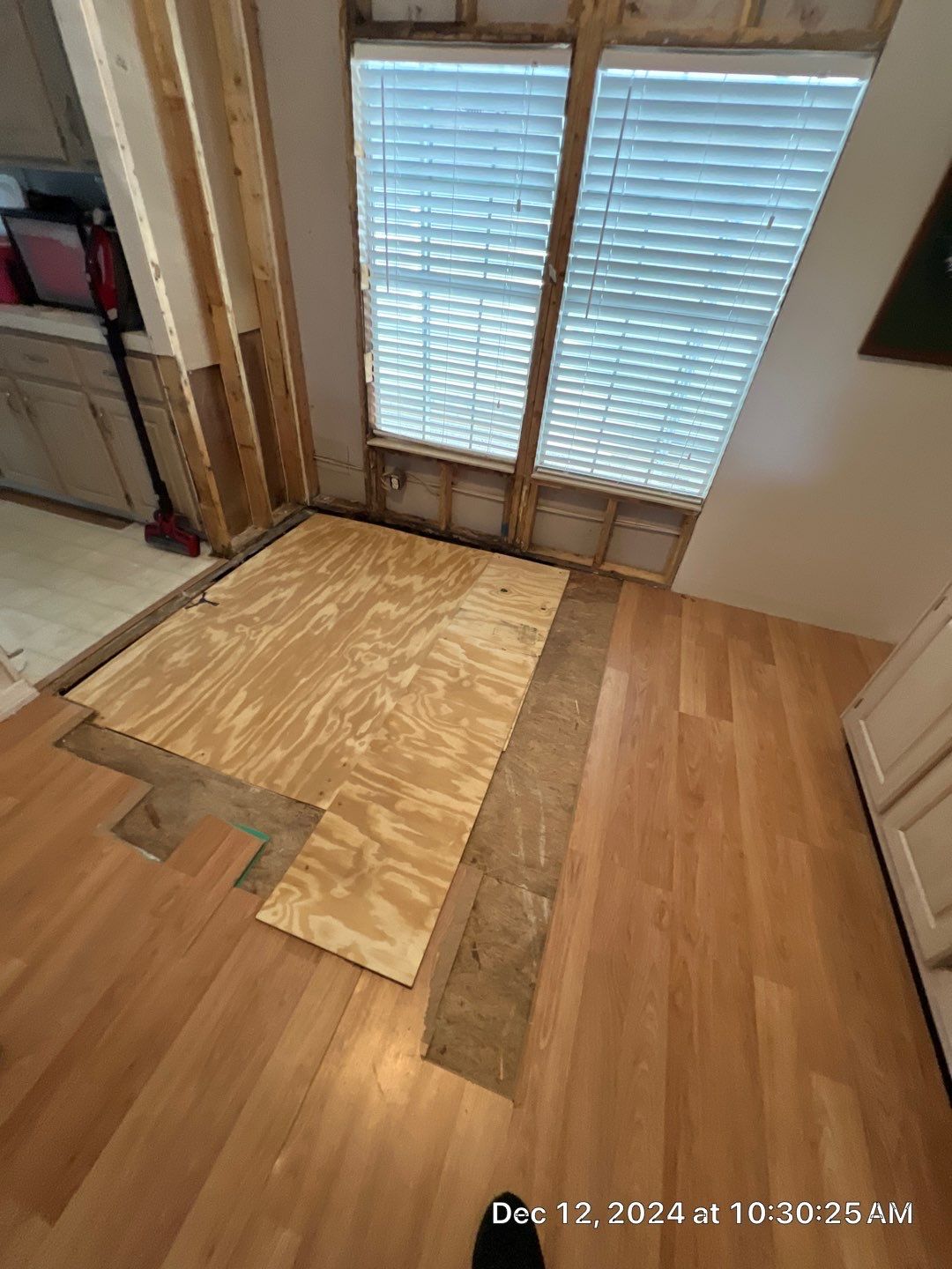Mold Remediation Palmetto by Ampm Restoration Services 