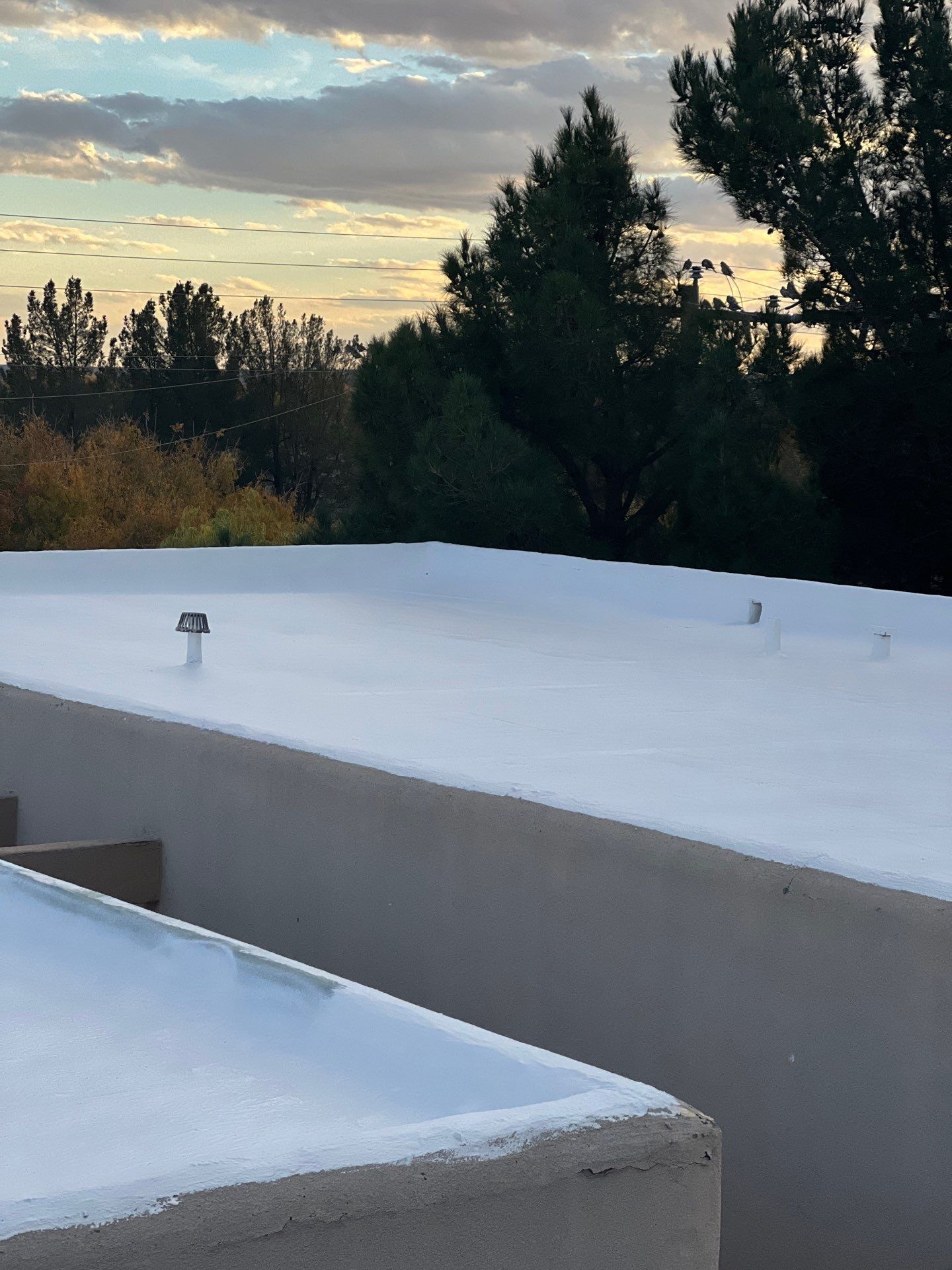 Las Palmas Apartments by SPF Services