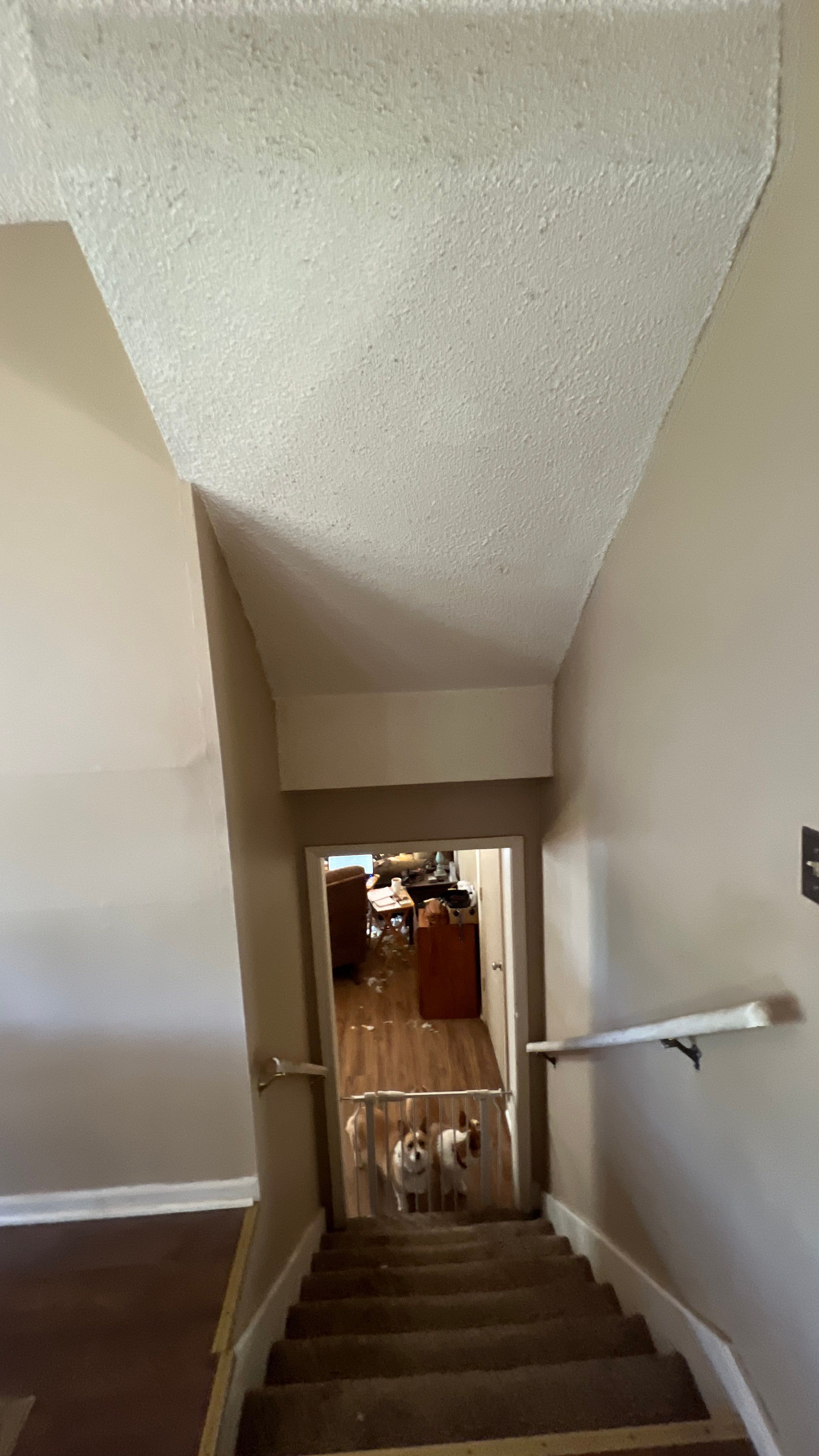 Complete Transformation: Stunning Exterior and Interior Refresh! by Cougar Painting