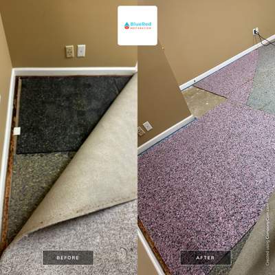 Oder Removal in Basement