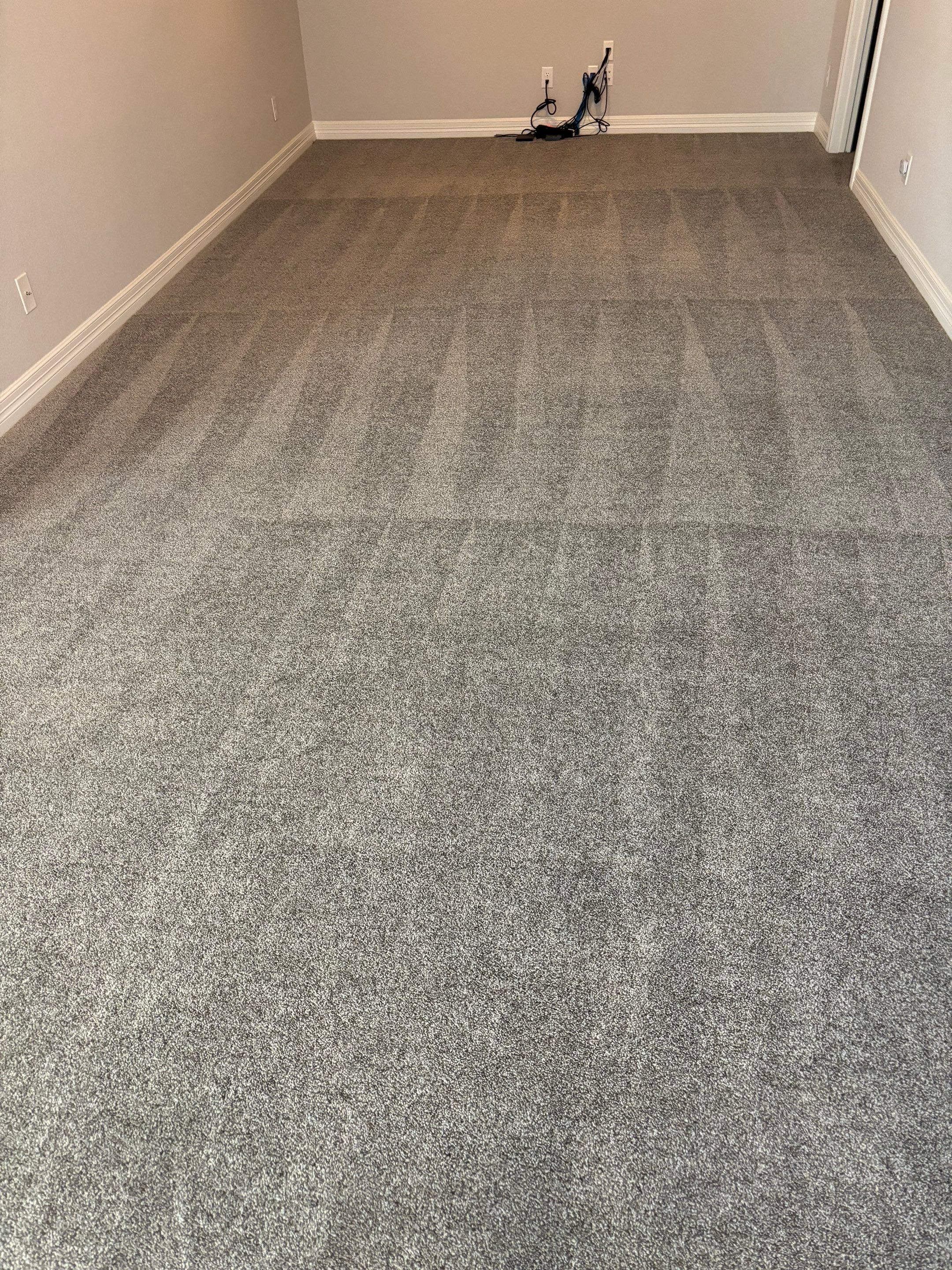 the service shown involves cleaning a carpeted floor with visible patterns indicating a thorough steam or shampoo cleaning process