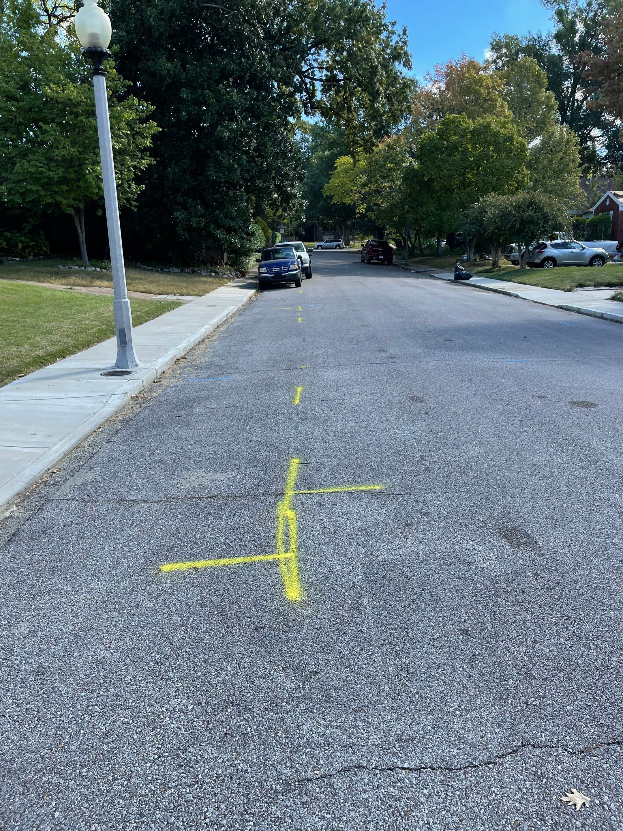 Utility Locate for Survey Purposes by Alsip Locating Service, LLC