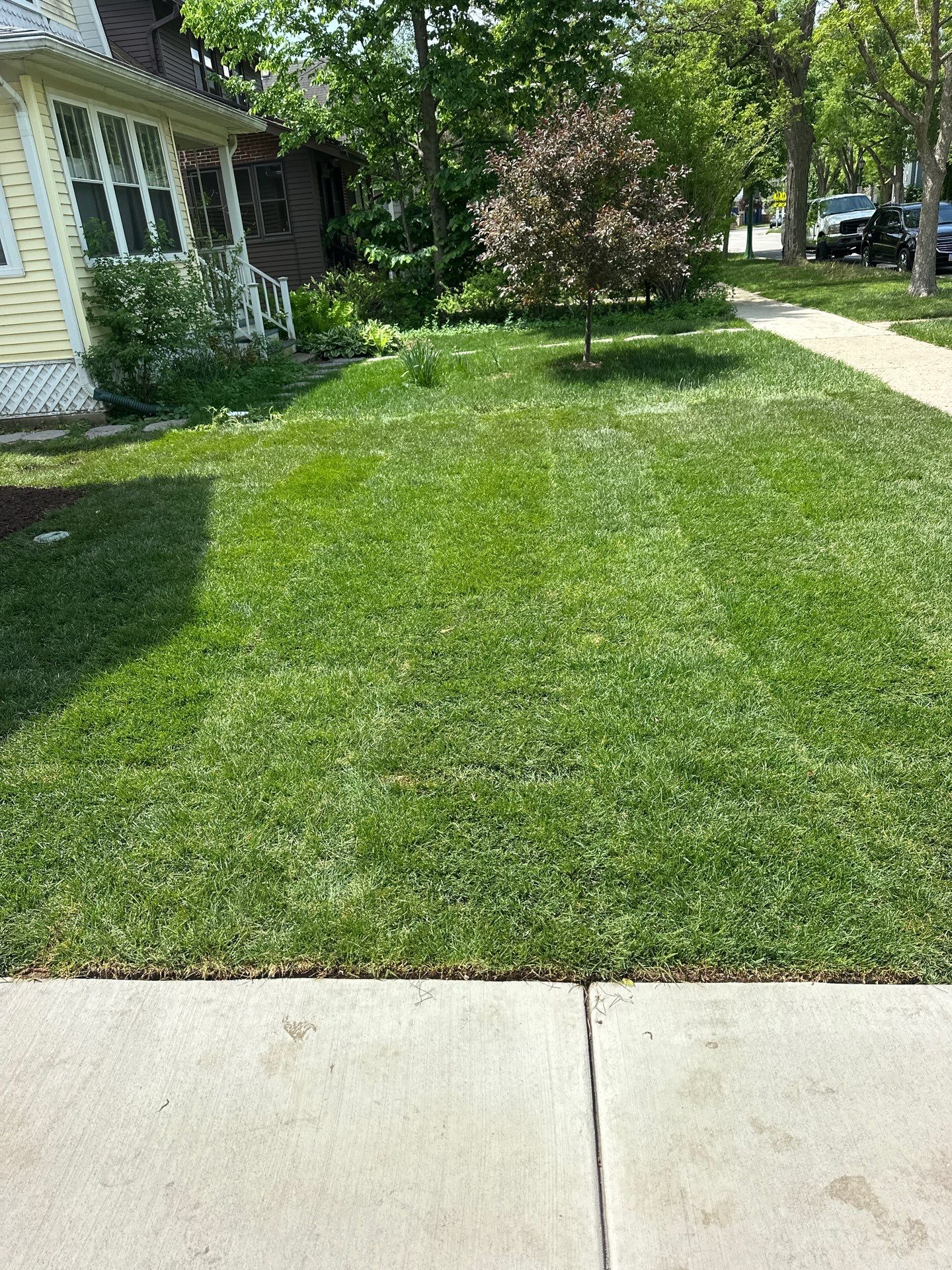 Tom D. - Wilmette, IL by A&N