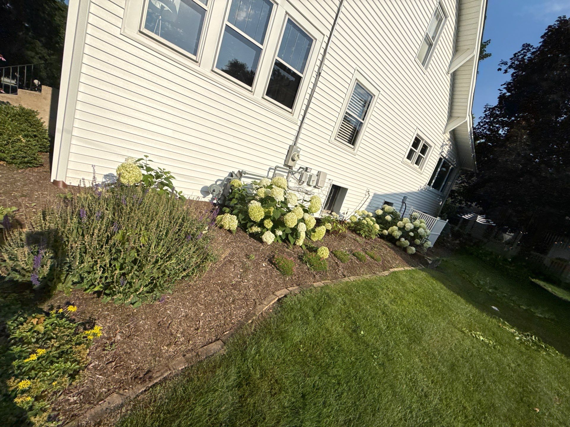 Lisa A. - Arlington Heights, IL by A&N