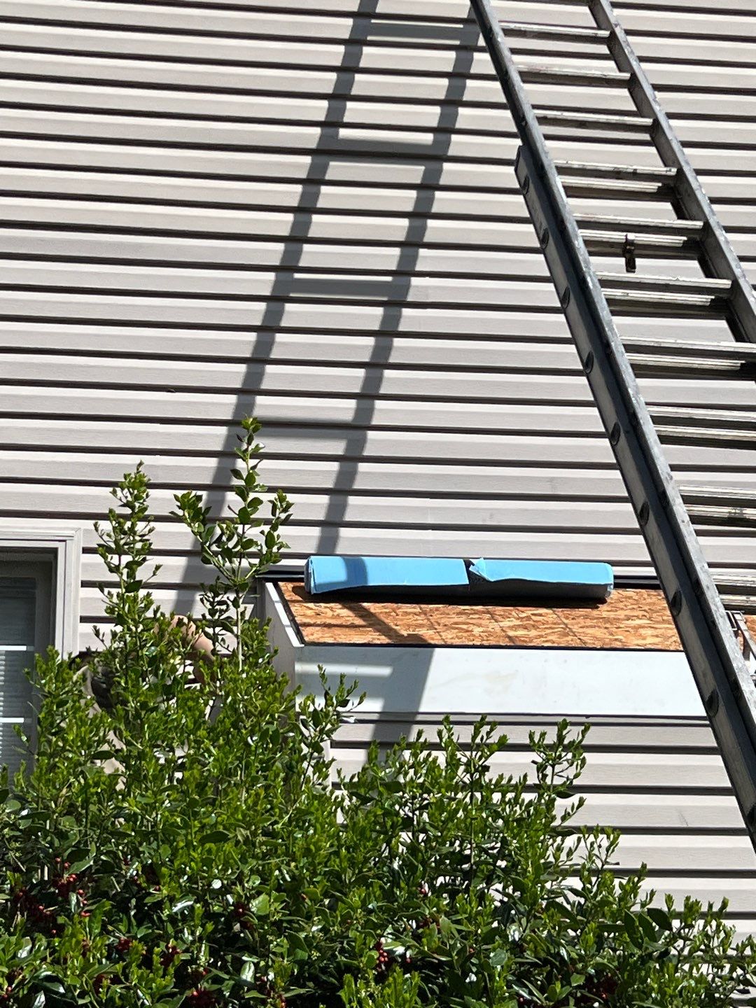 Springfield: CertainTeed Landmark Pro Designer Shingles in Max Def Moire Black by RM Banning, Inc.