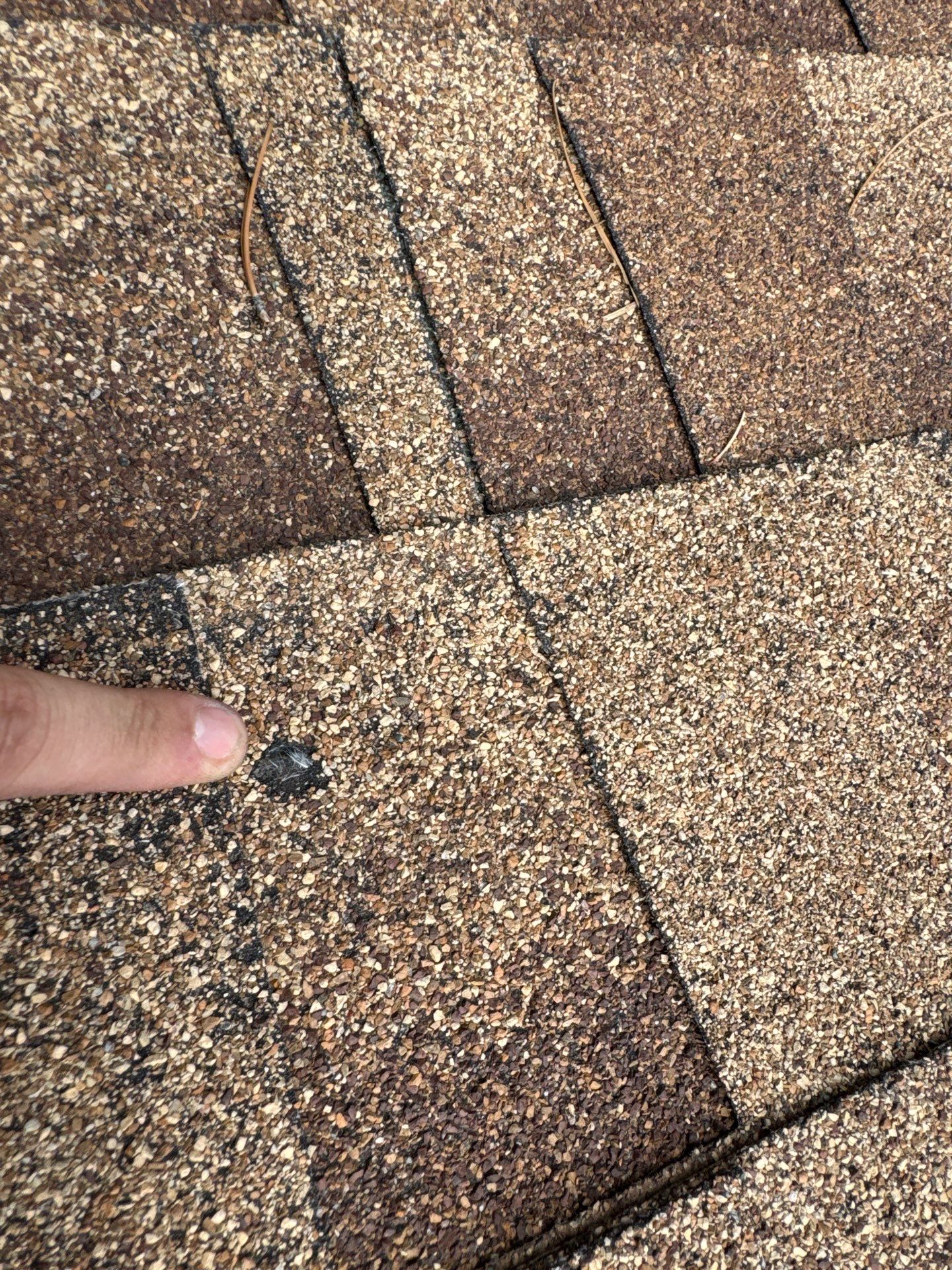Insurance Inspection Heber-Overgaard, AZ by Dry Creek Roofing