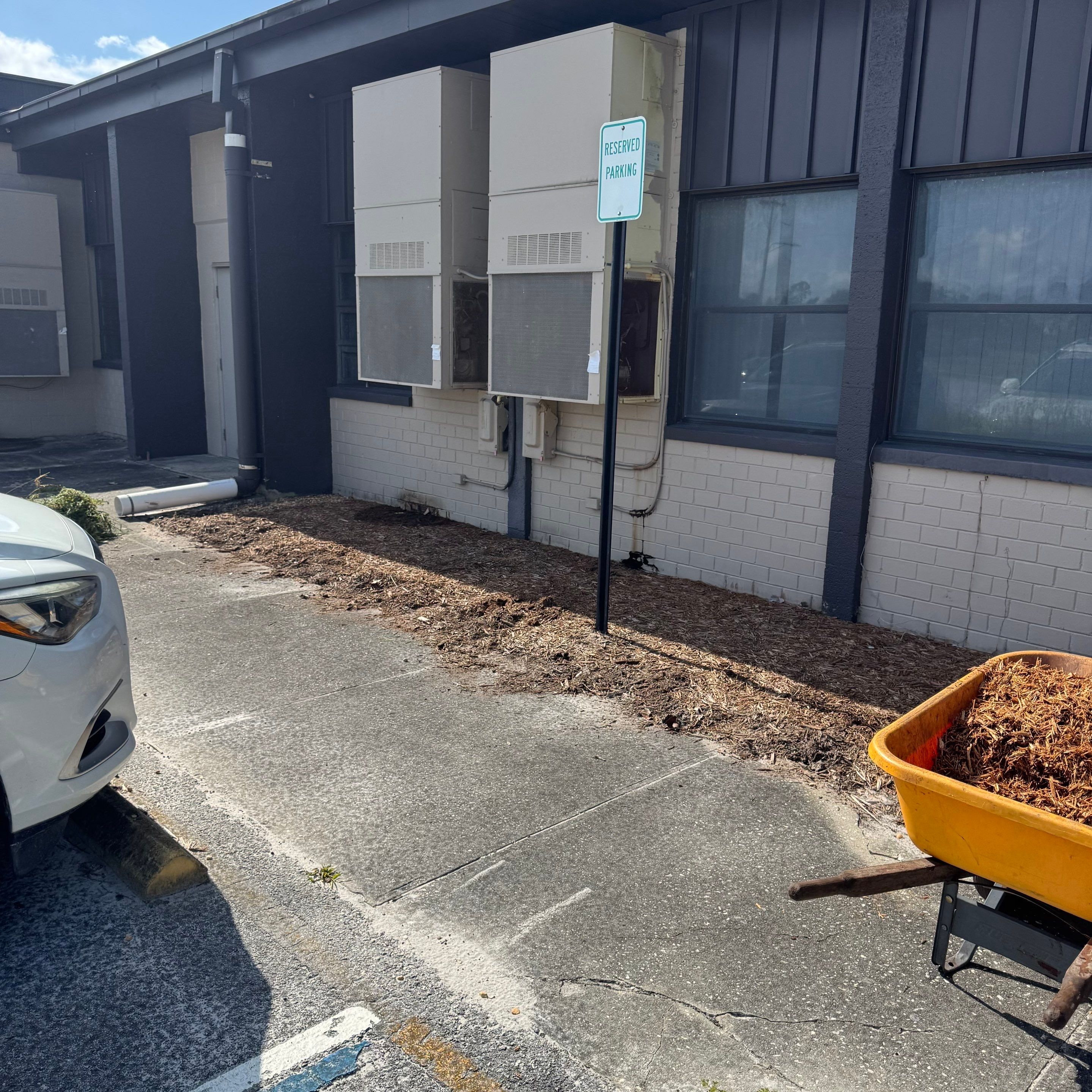 Green Cove Springs Junior High School | Landscape Refresh by ProGreen Services