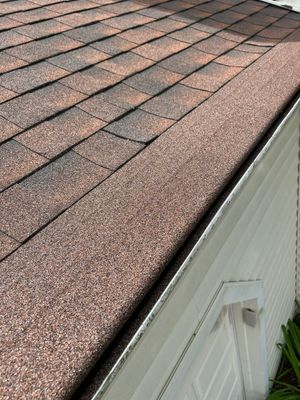 Turtle Shell gutter protection installation in Naperville, IL 60565, photograph 11