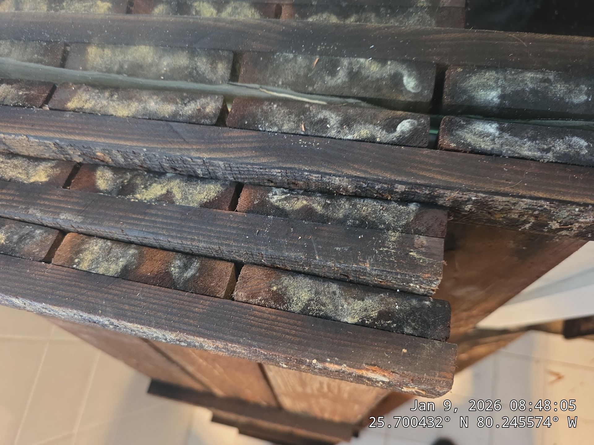 BIOHAZARD by SuperClean 