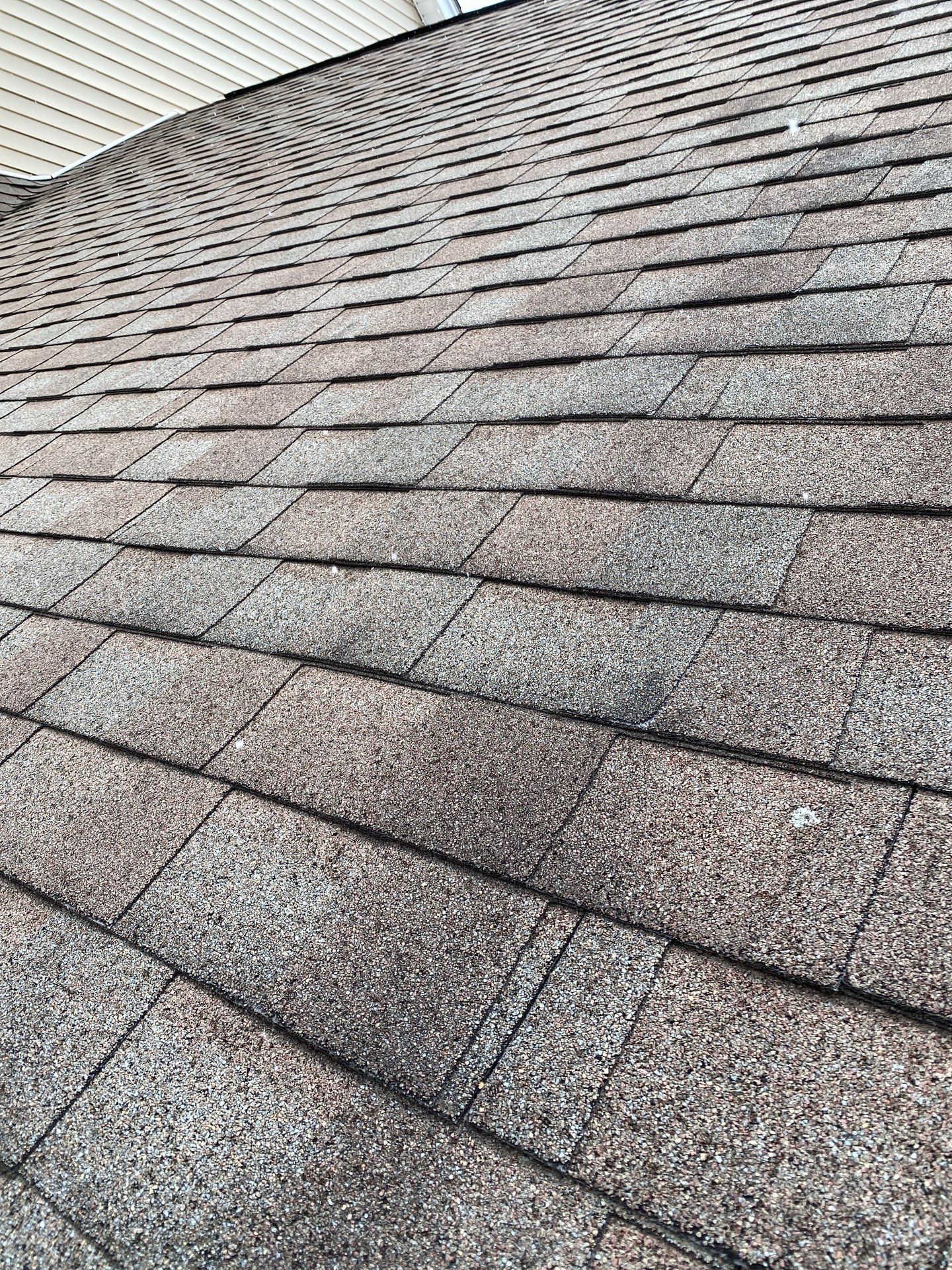 Realtor consult by Mighty Dog Roofing of Greater Middlesex County