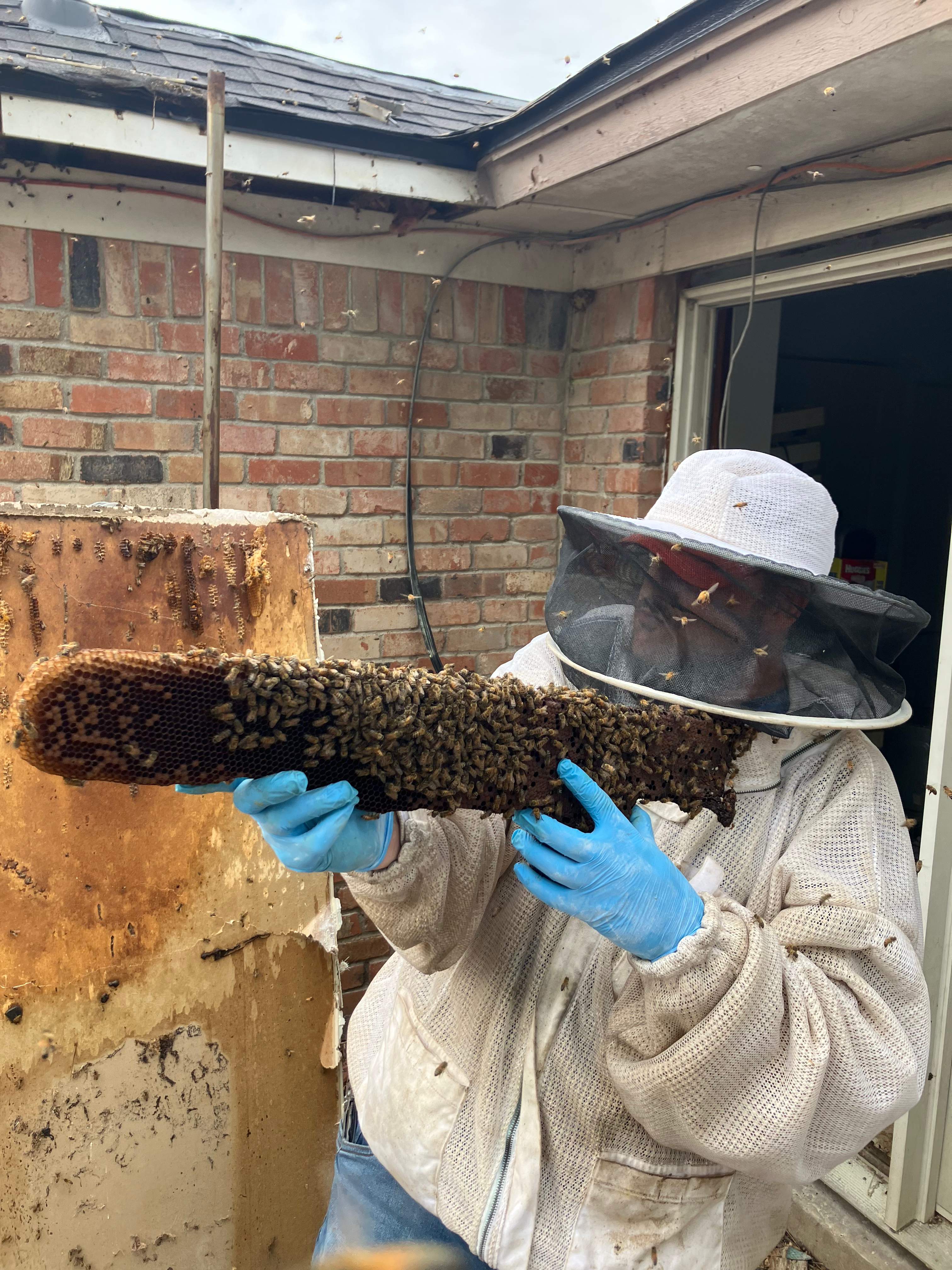 Improper Repair by Rockwall Honey Bee Company
