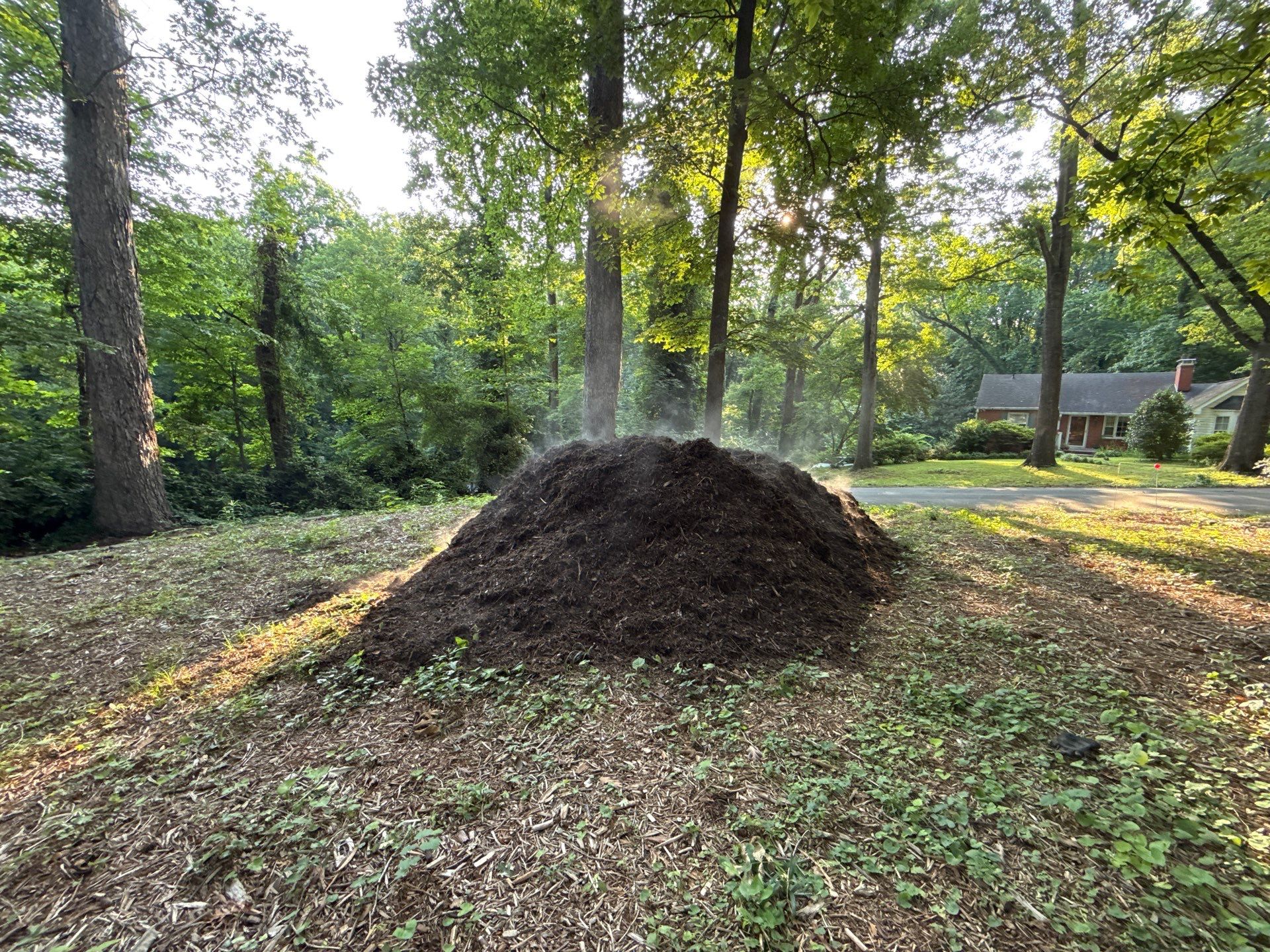 Project in Charlotte by Badger Hauling