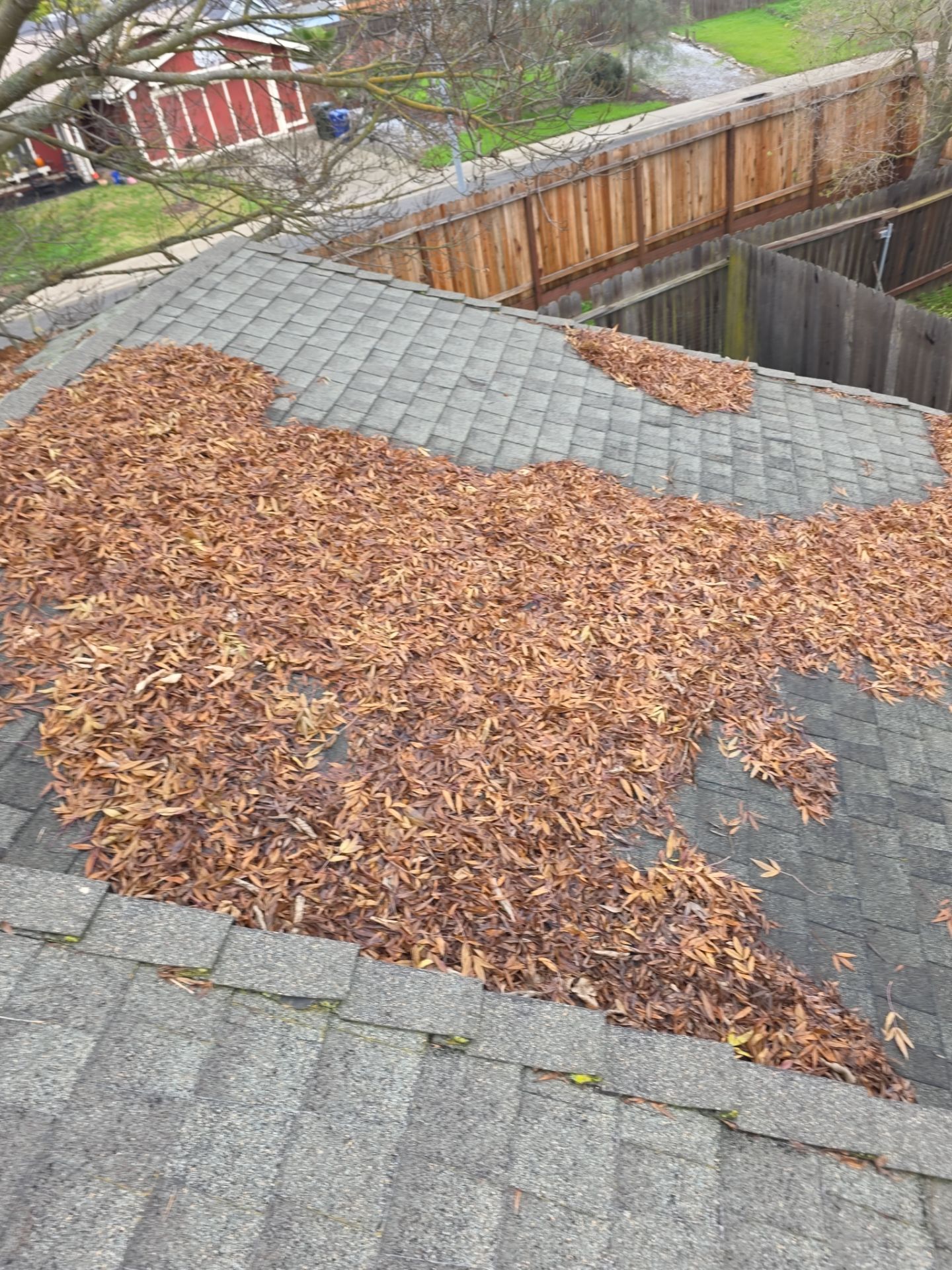 Roof Rejuvenation using Roof Maxx Treatment by Roof Maxx of Folsom