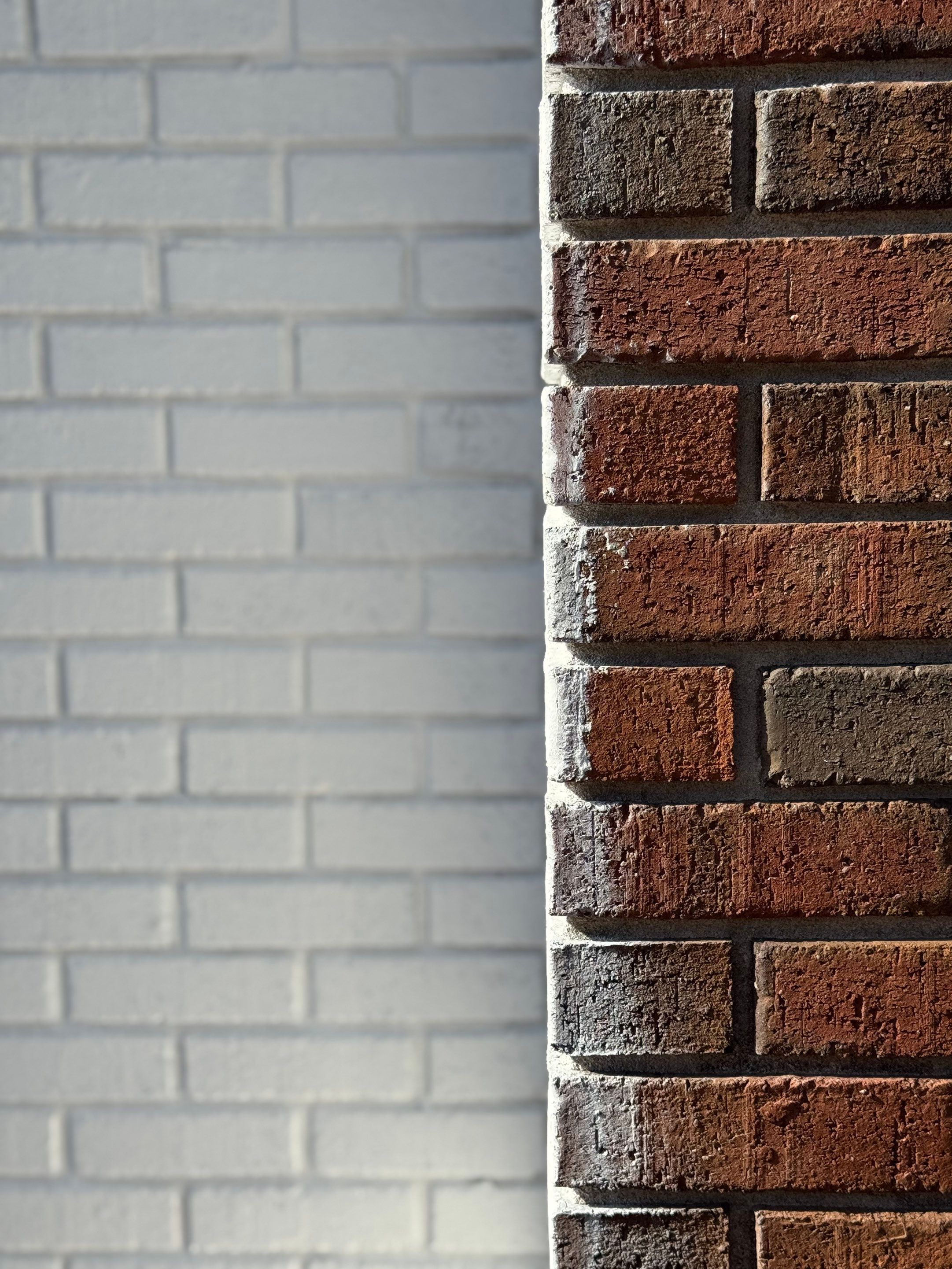 Exterior - Romabio Classico Limewash by Renew Painting