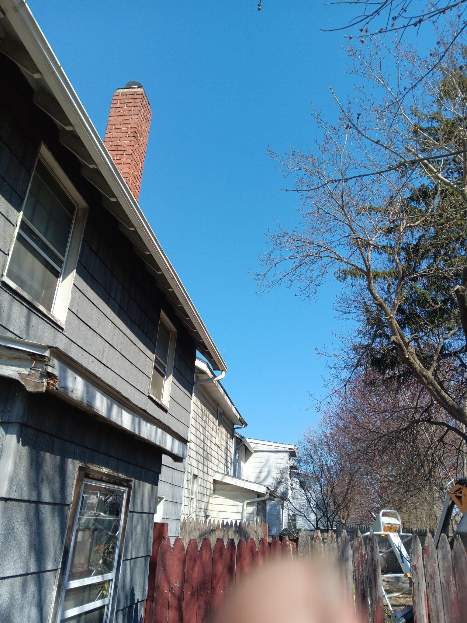 Tree Trimming using Tree Pruing by Mike Jones & Sons Tree Service LLC 