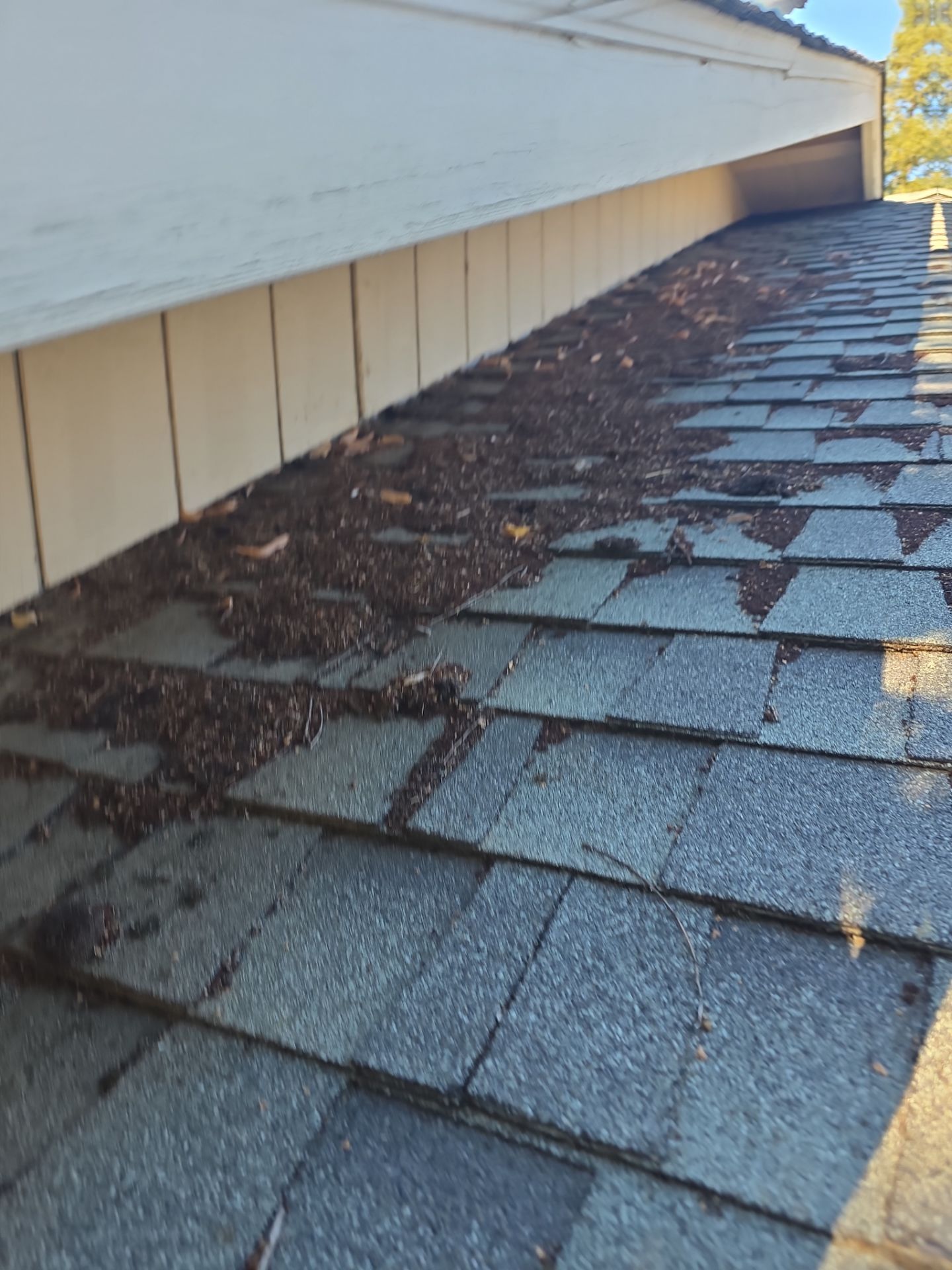 Roof Rejuvenation using Roof Maxx Treatment by Roof Maxx of Folsom