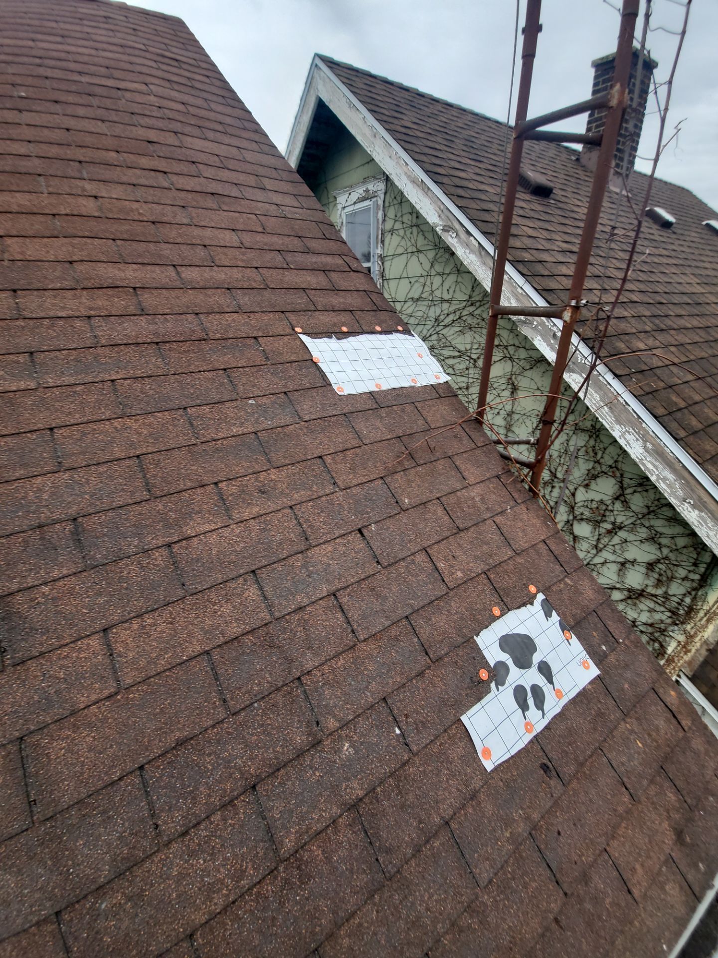 Atlas Pinnacle, Color, Weathered Wood, Drip Edge, Color, Royal Brown by Eagle Eye Roofing