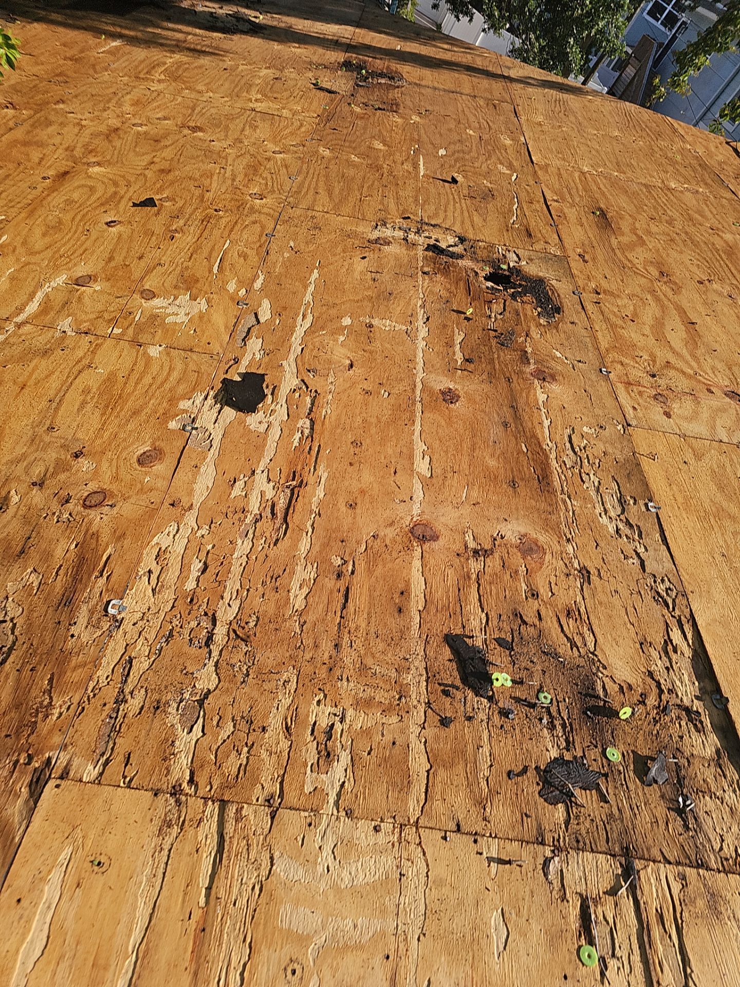 Project in St. Petersburg 33712 by Mitchell Roofing Company LLC