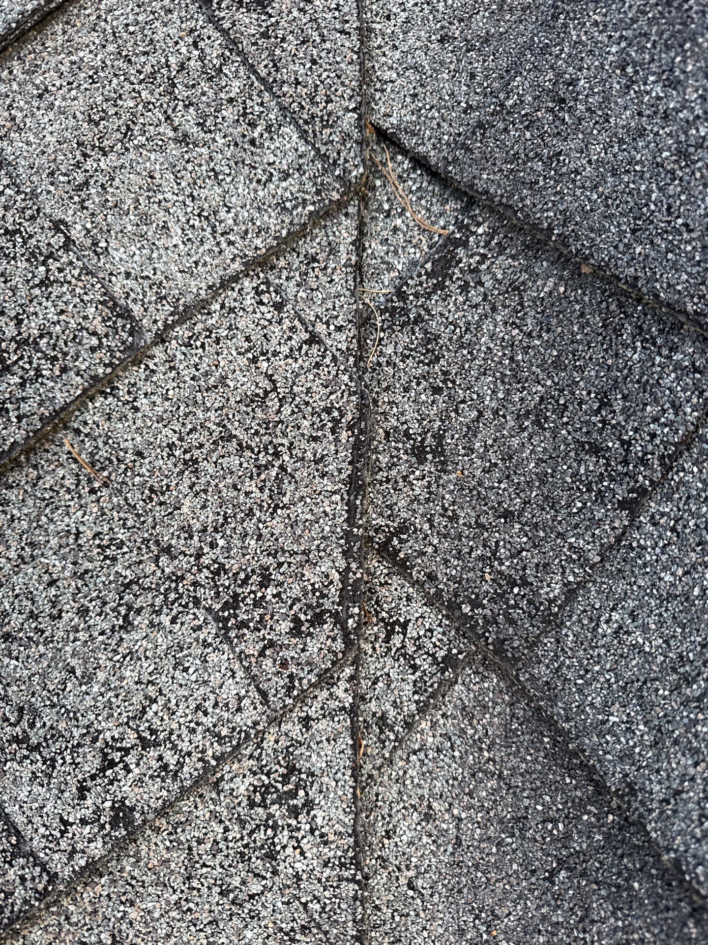 The Leppeks by United Contracting and Roofing