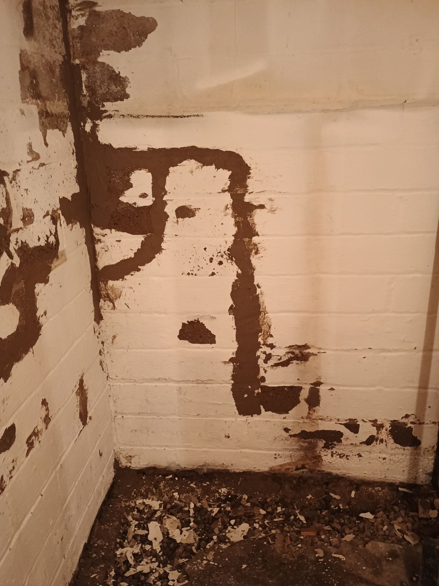 Updating Taylor's Waterproofing System by Waterproofing Northeast