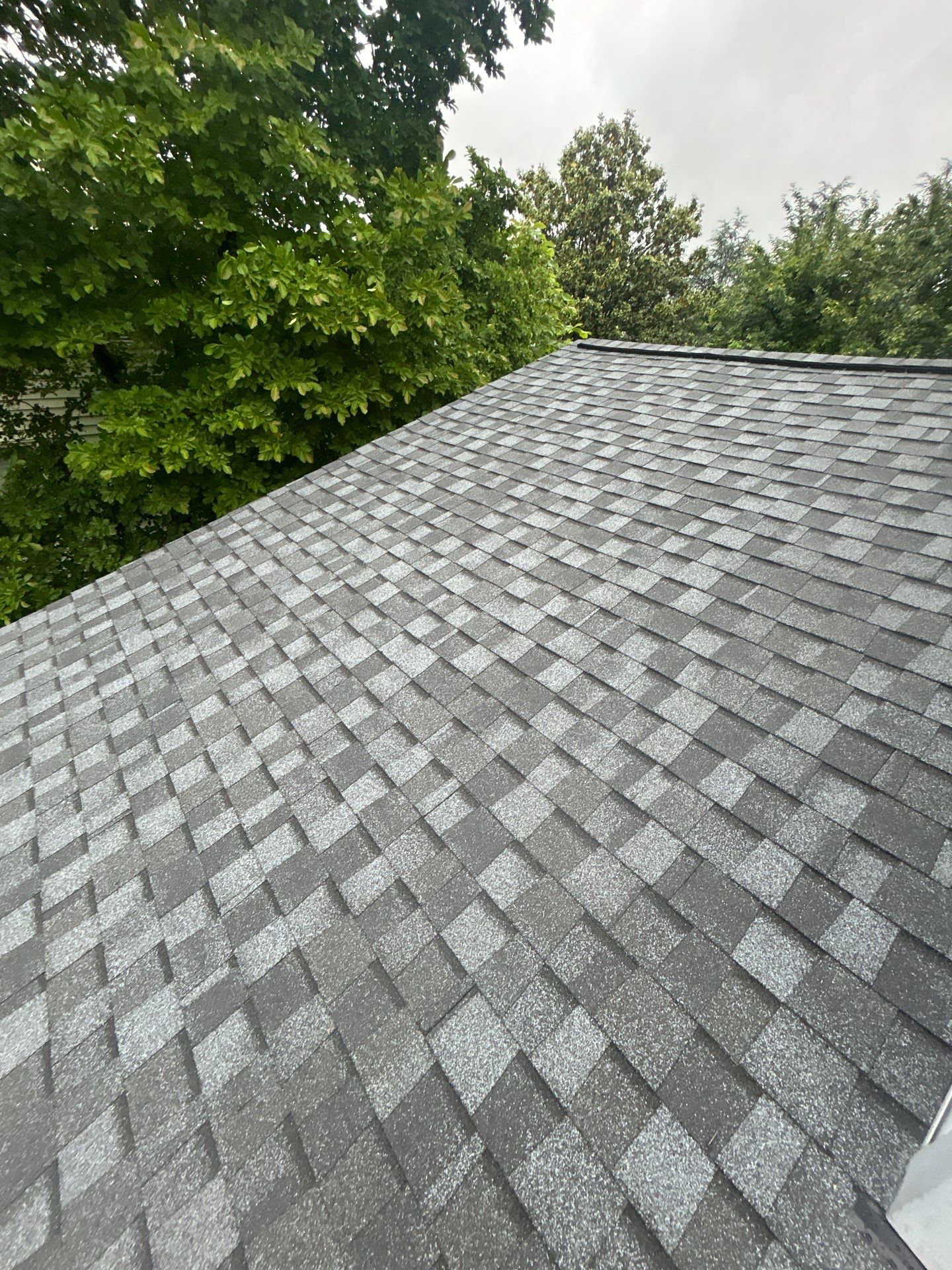 Alexandria: Residential Roof Replacement with CertainTeed Landmark Pro in Max Def Pewter by RM Banning, Inc.