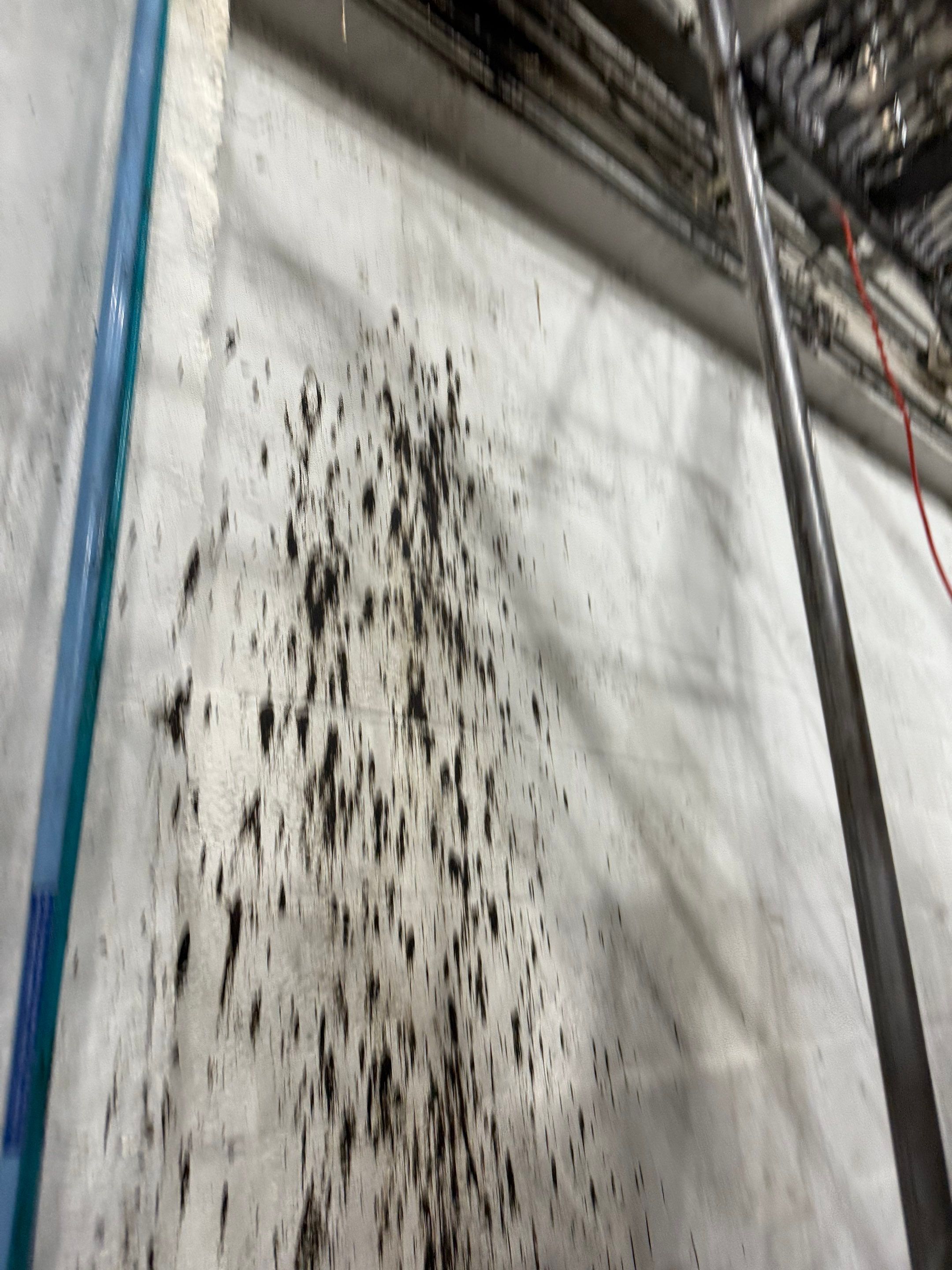 Fire Damage using Ozone Treatment by SuperClean 