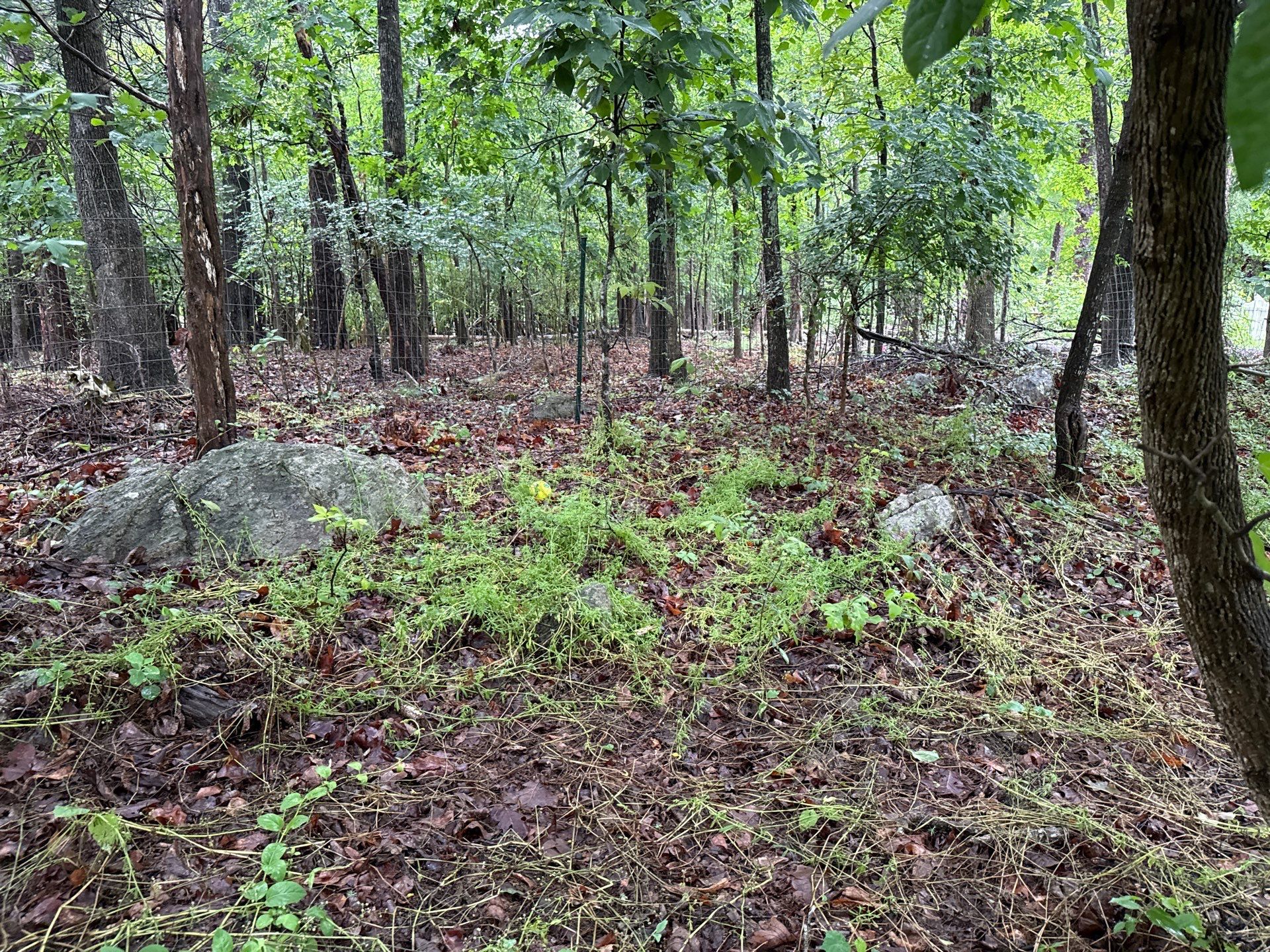 Project in Mint Hill by Badger Hauling