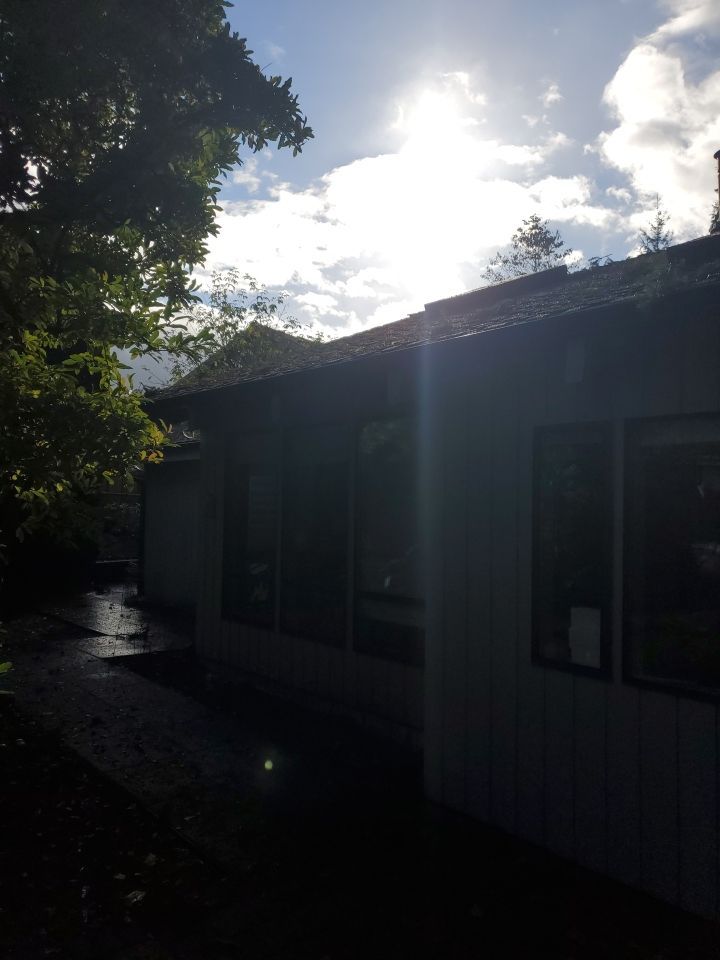 Tree Removal using Tree Removal by Mike Jones & Sons Tree Service LLC 