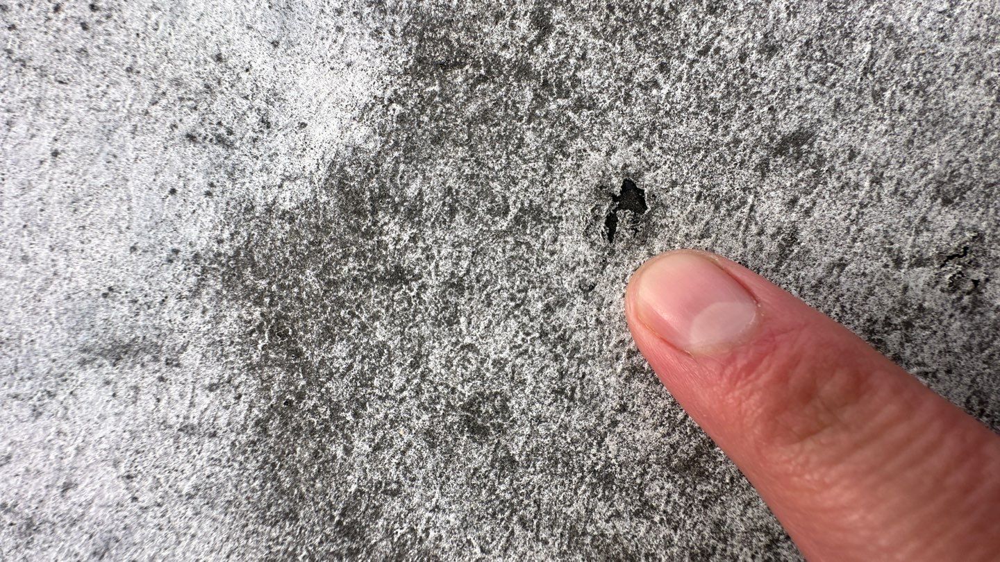 Alexandria: Carlisle Syntec TPO Flat Roof Installation by RM Banning, Inc.