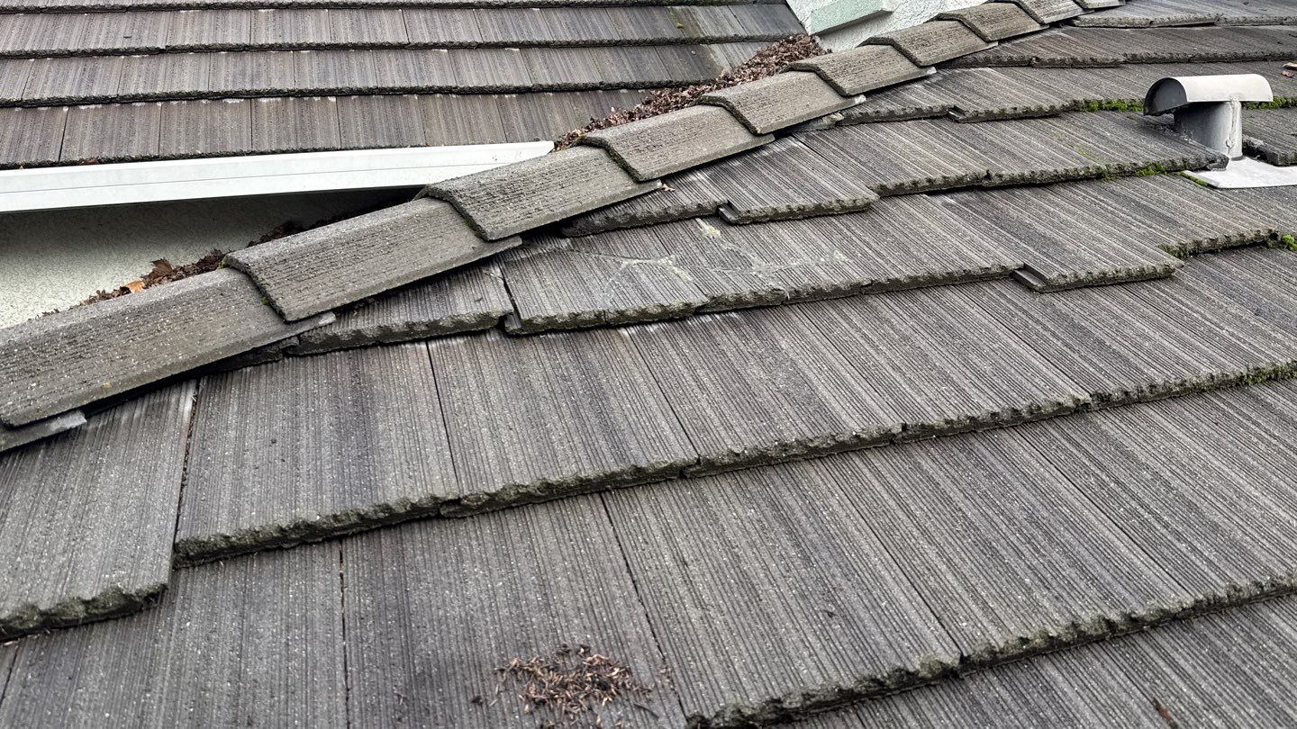 Project by NuLead Construction Inc by NuLead Construction Inc