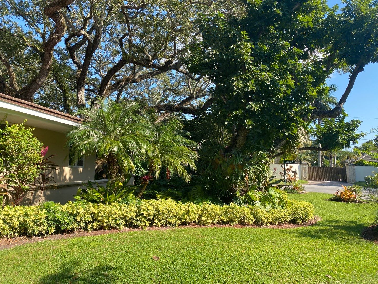 Tropical Residential Landscape in Pinecrest  by Nature's Dream Landscape and Tree Service