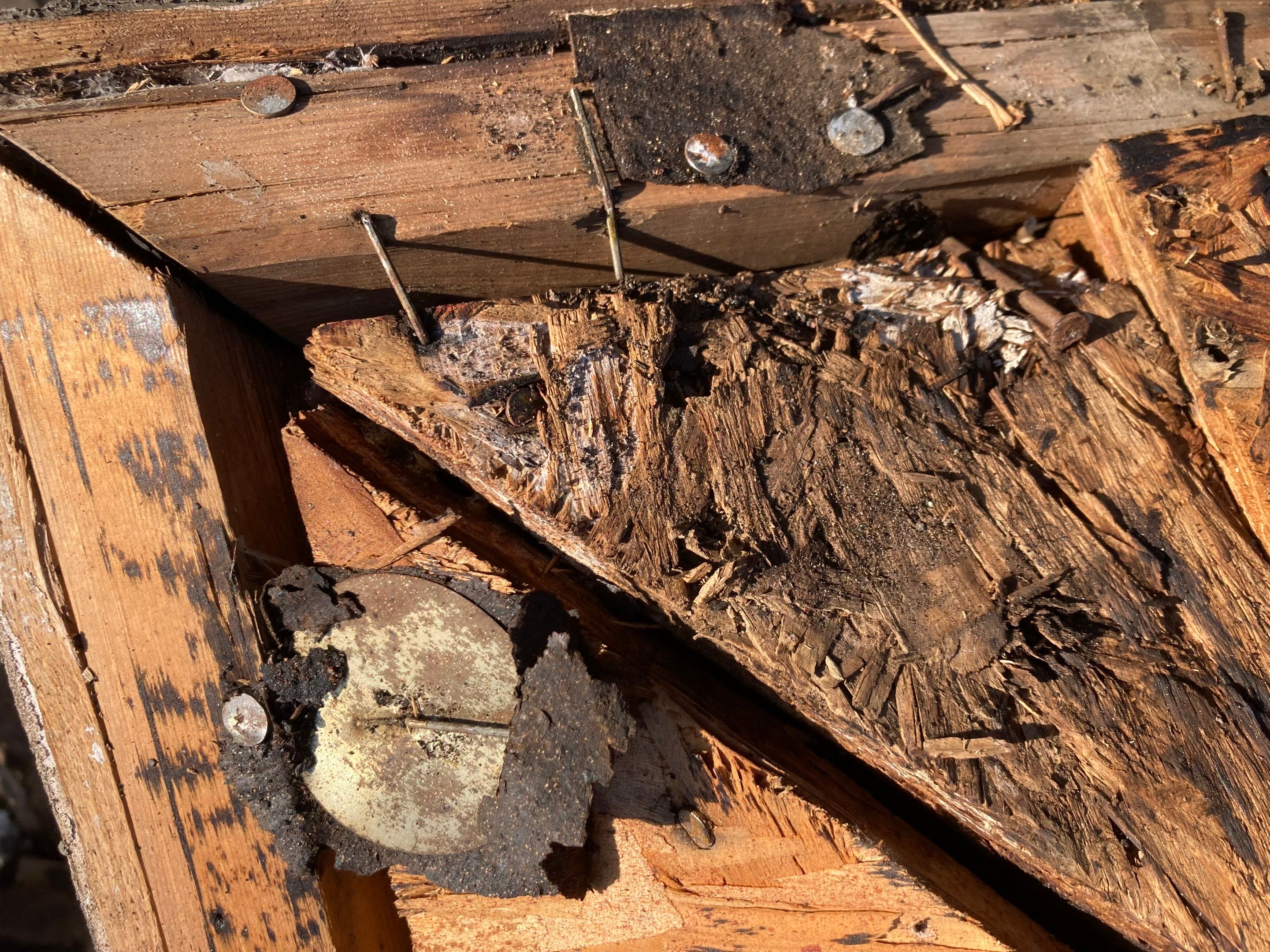 Project in Cedar Park by Rhino Roofing and General Contracting, LLC