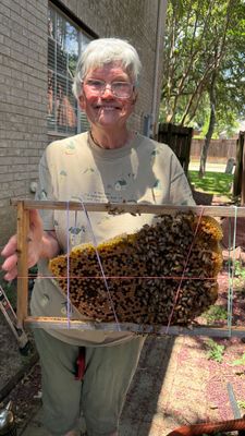 No Rush for these Bees