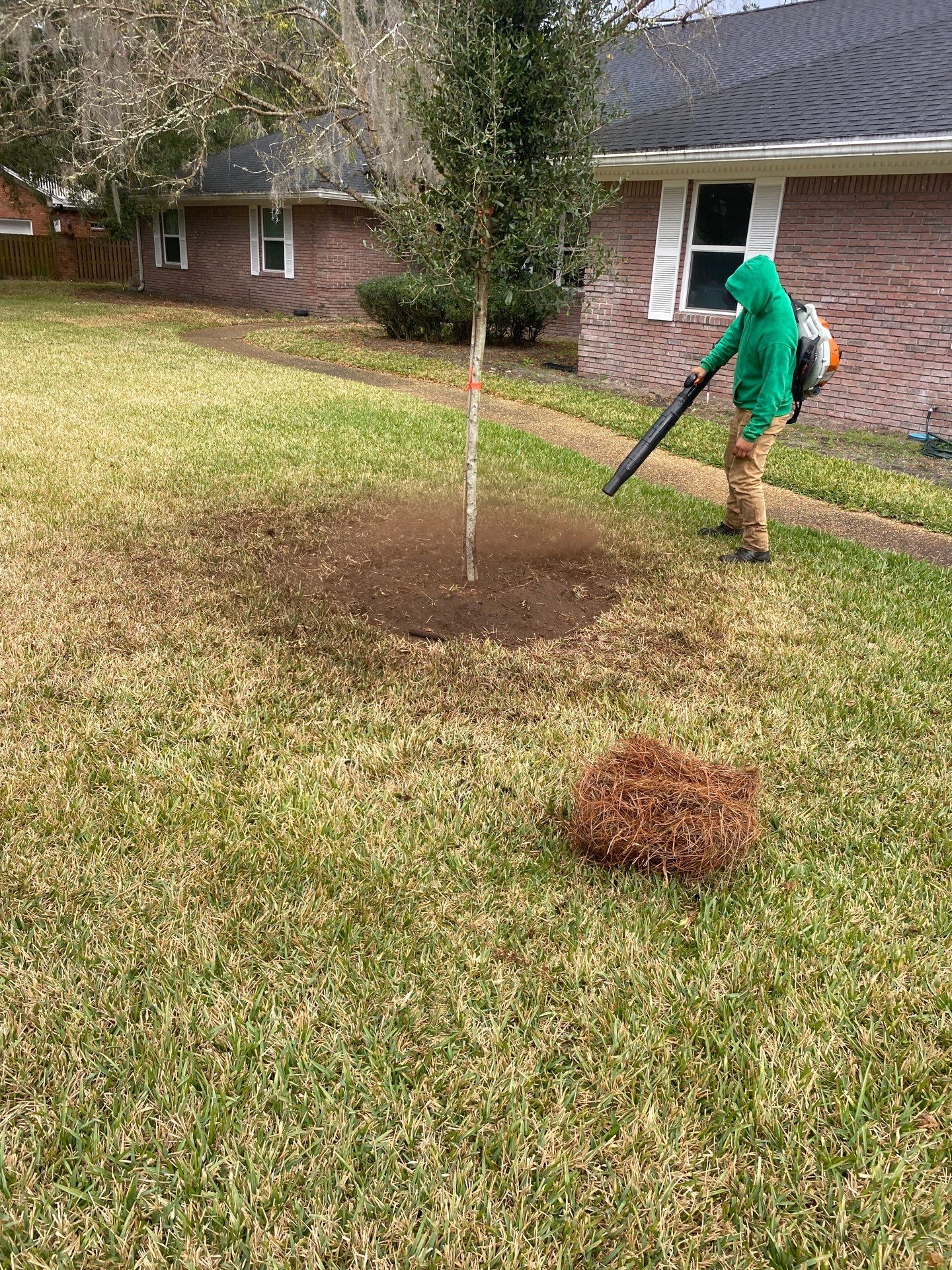Deerwood | Live Oak Planting Project  by ProGreen Services