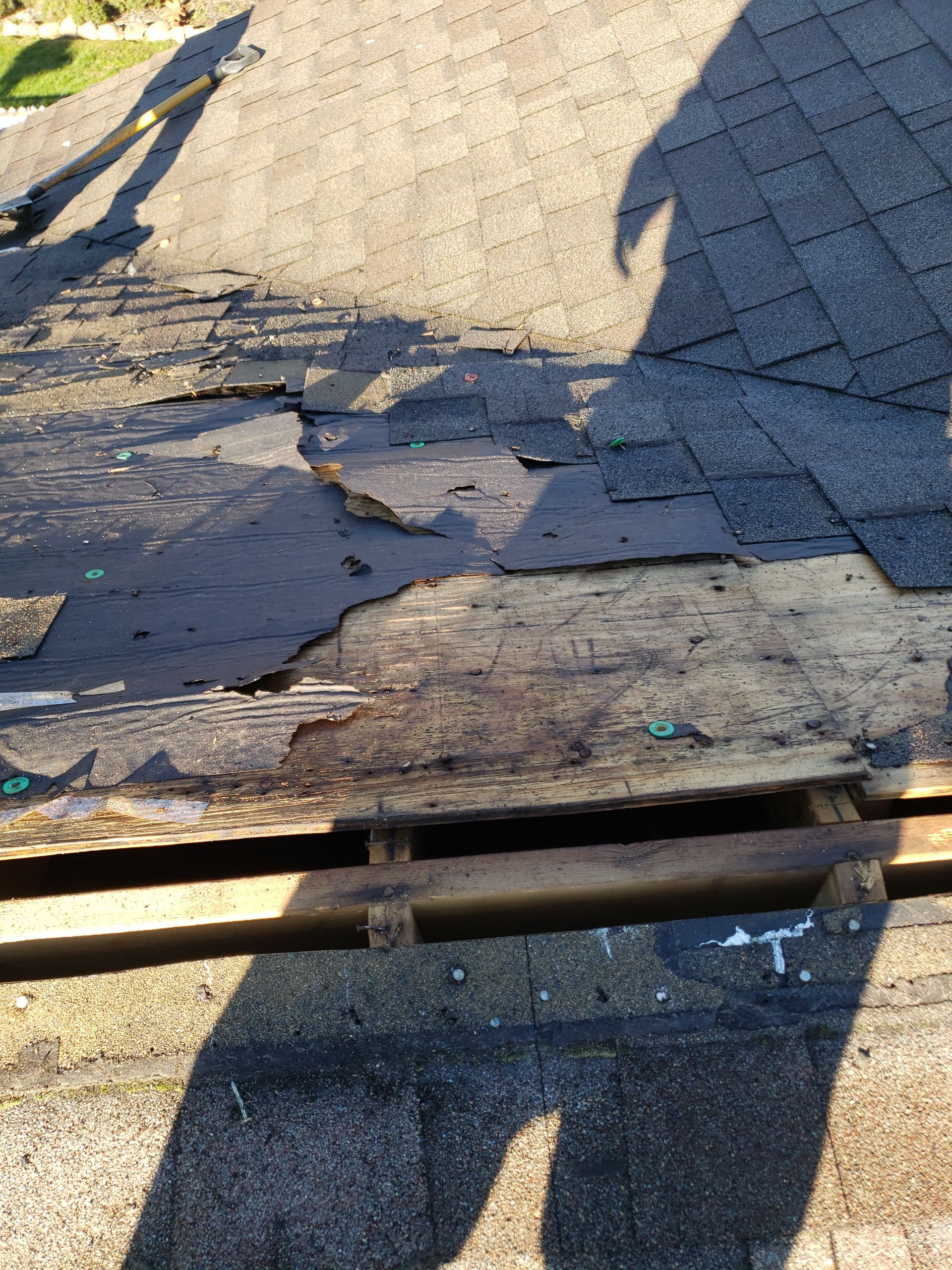 ATLAS PINNACLE COLOR: PRISTINE HEATHER DRIP EDGE: MUSKET BROWN by Eagle Eye Roofing