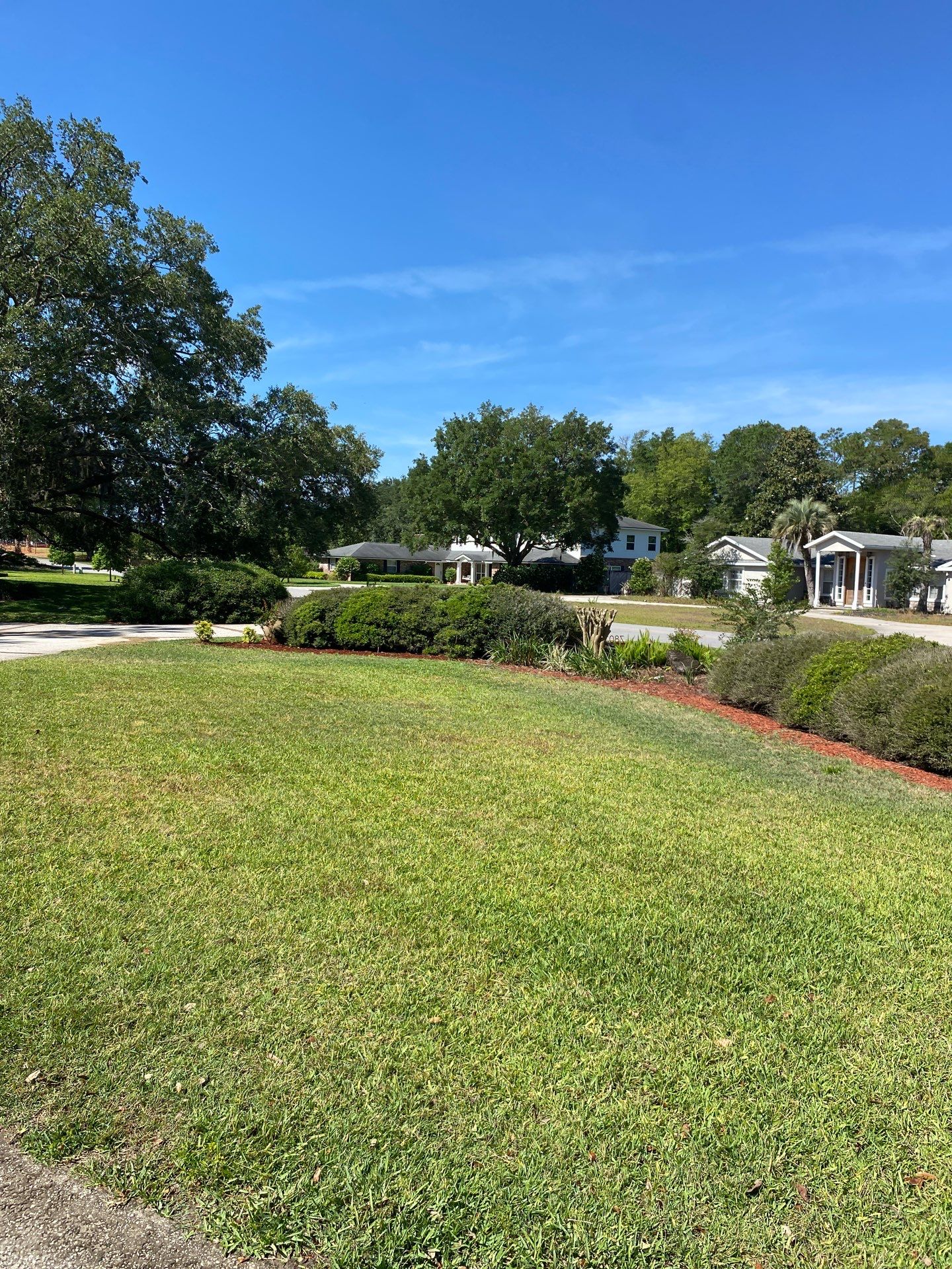 Deerwood Resident | Palm Tree Trimming & Clean-Up by ProGreen Services