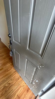 Project in Thornton