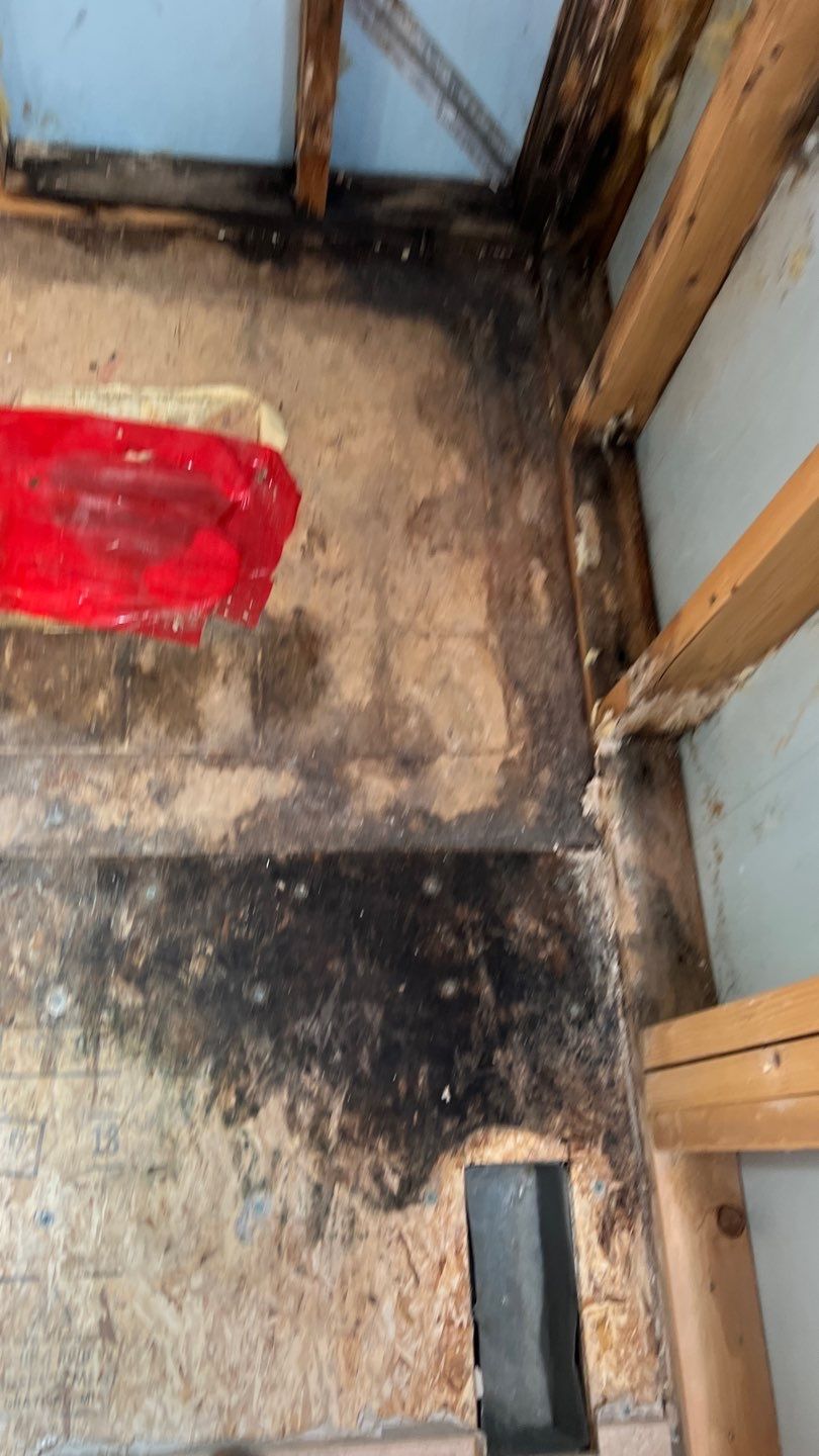 Water Damage and Mold Remediation by Accountable Home Services