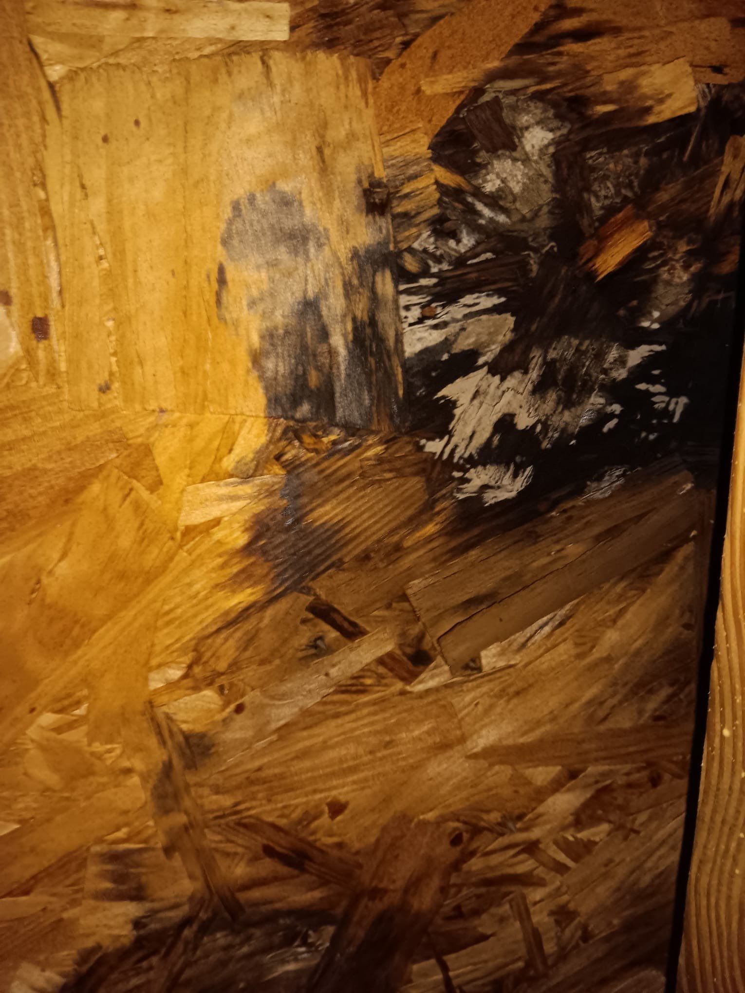 Roof Repair Rosenberg by Roof Repair Company