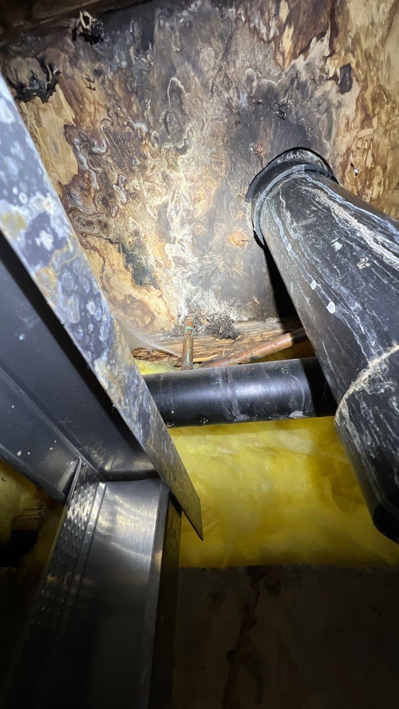 Mold Remediation by Accountable Home Services