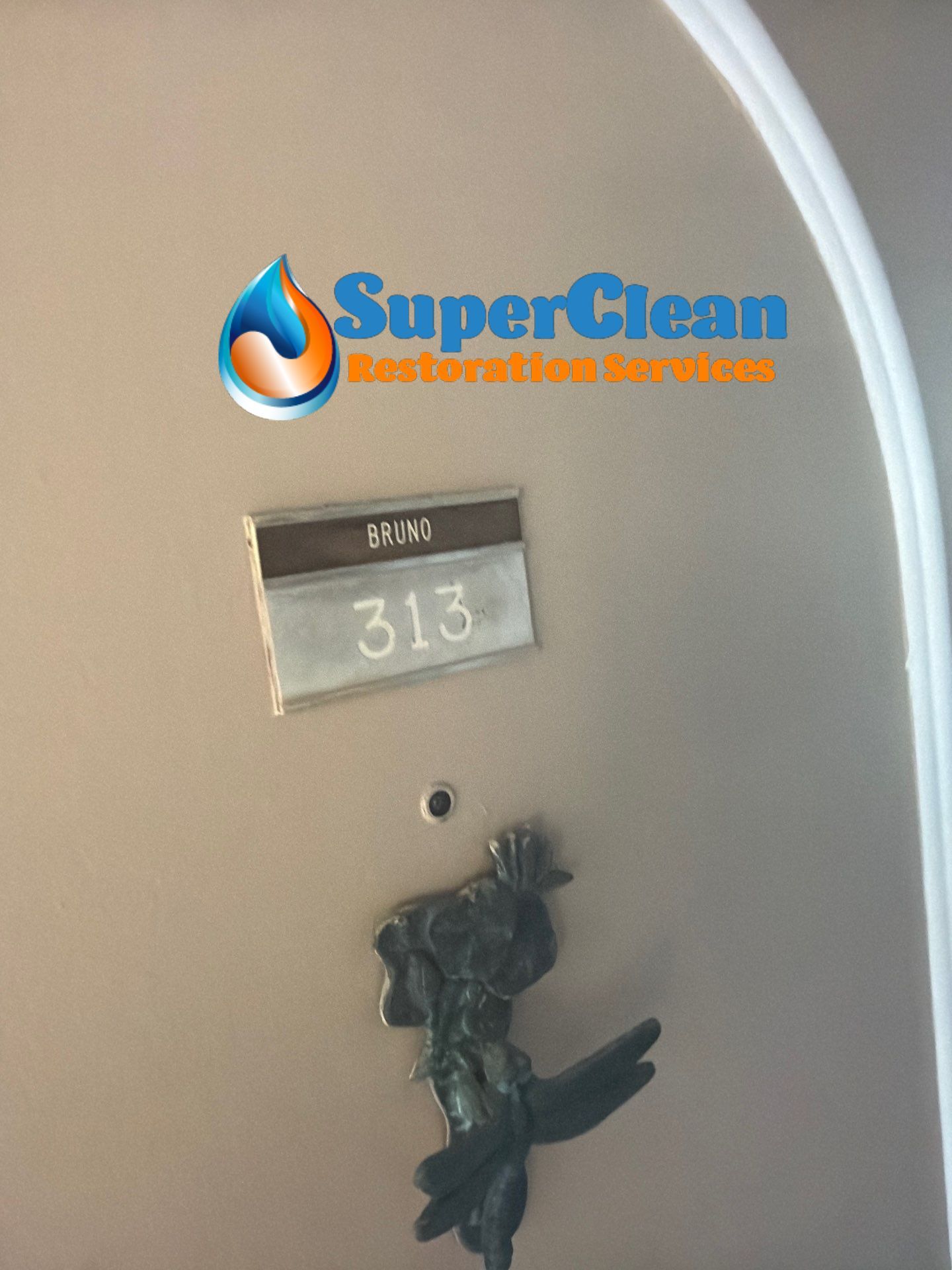 Residential Mold Remediation and Interior Moisture Damage Assessment in Palm Beach by SuperClean