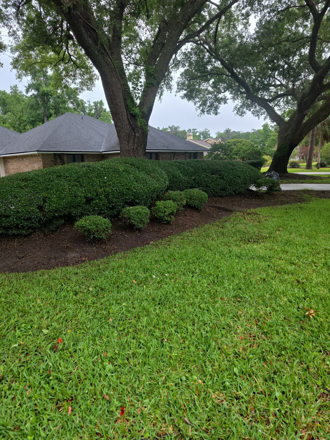 Deerwood Resident | Mulch Install & Clean-Up by ProGreen Services