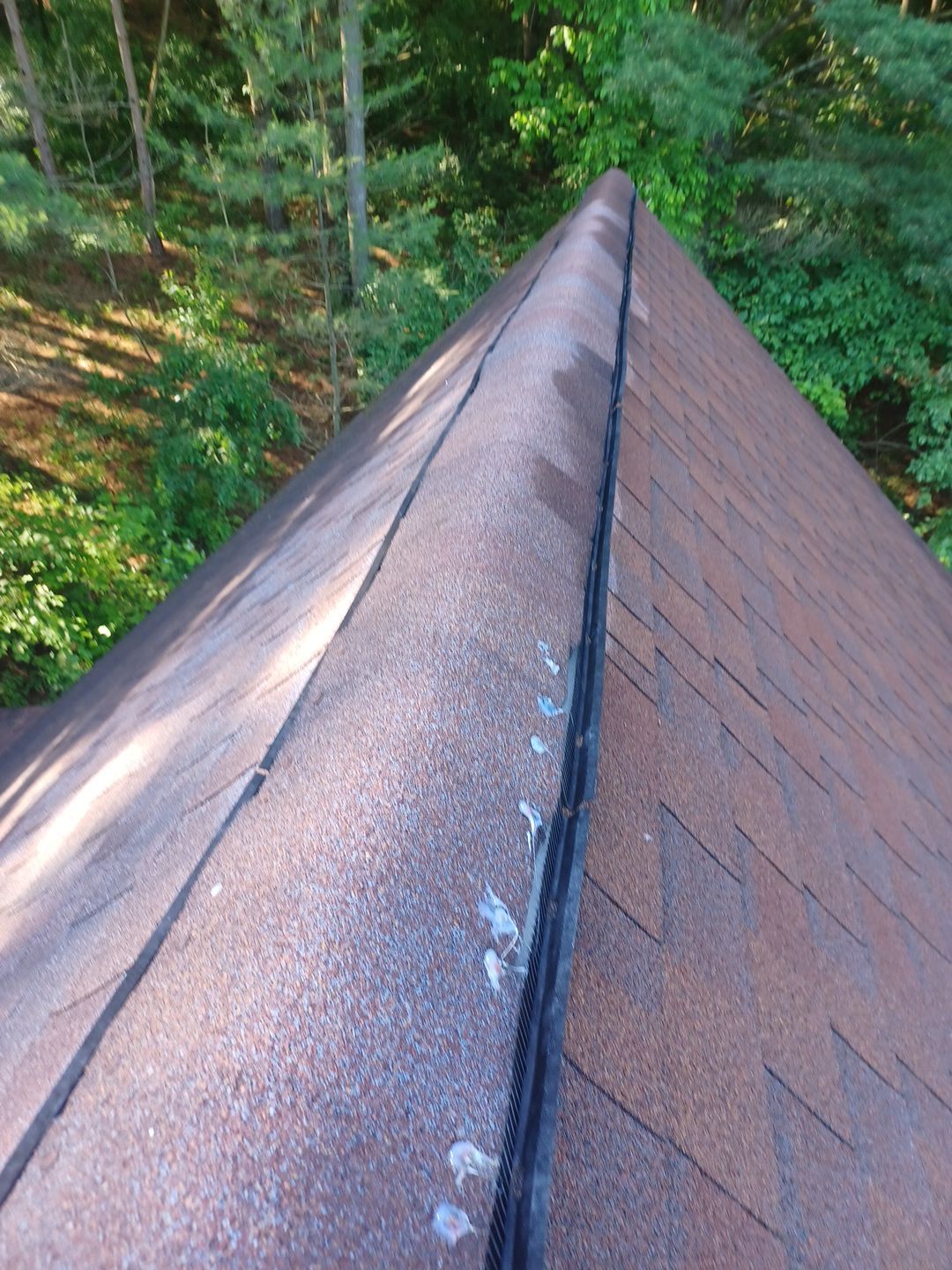 Dave Jacobs by Silver Leaf Contracting 