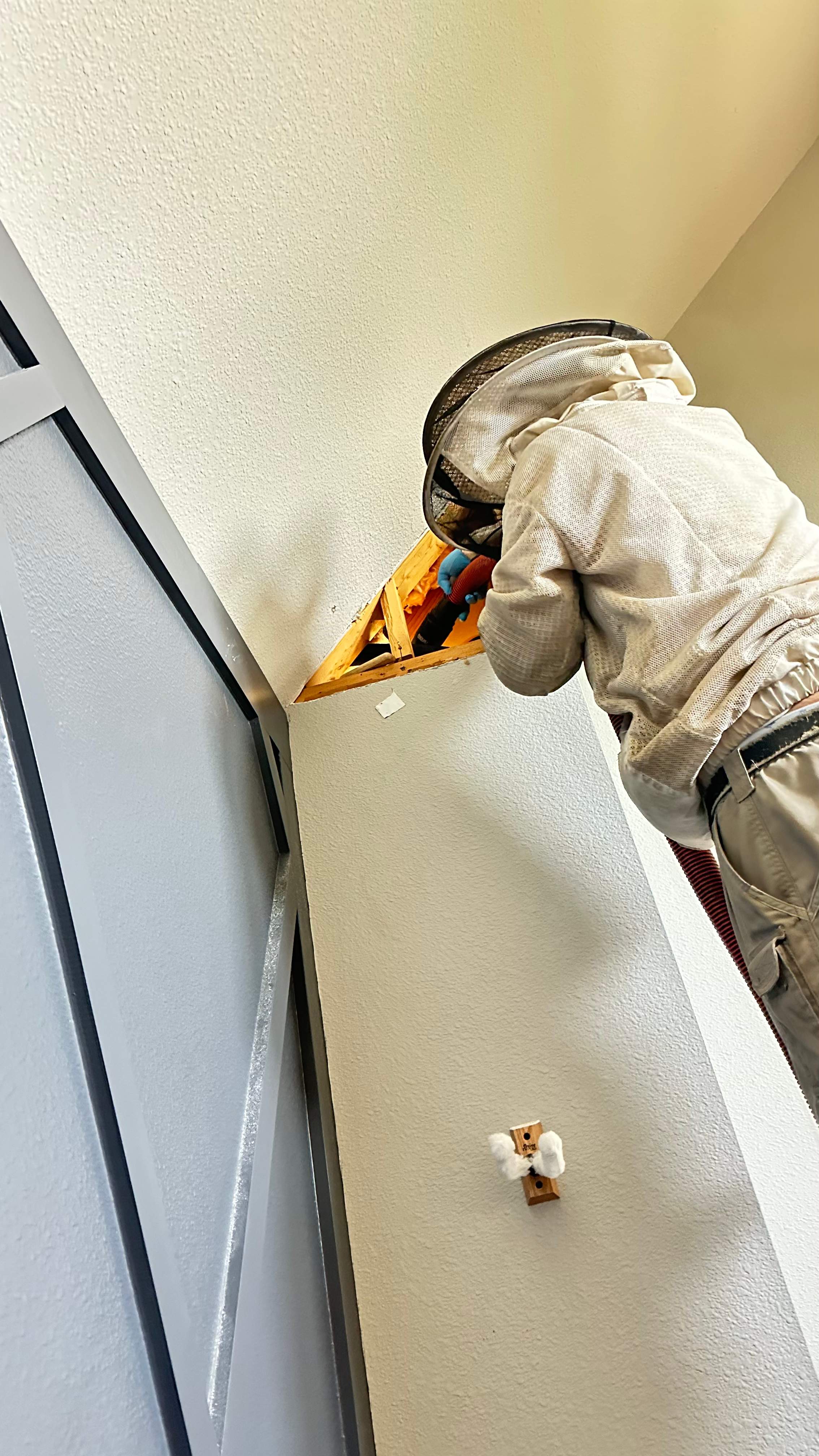 Interior Wall by Rockwall Honey Bee Company