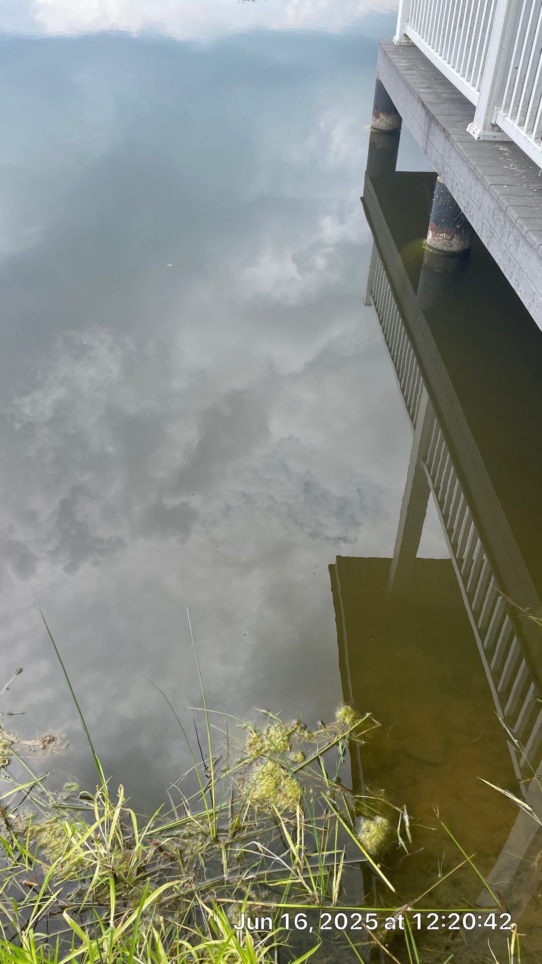 Maas Project by  Bellus Aquatic Solutions