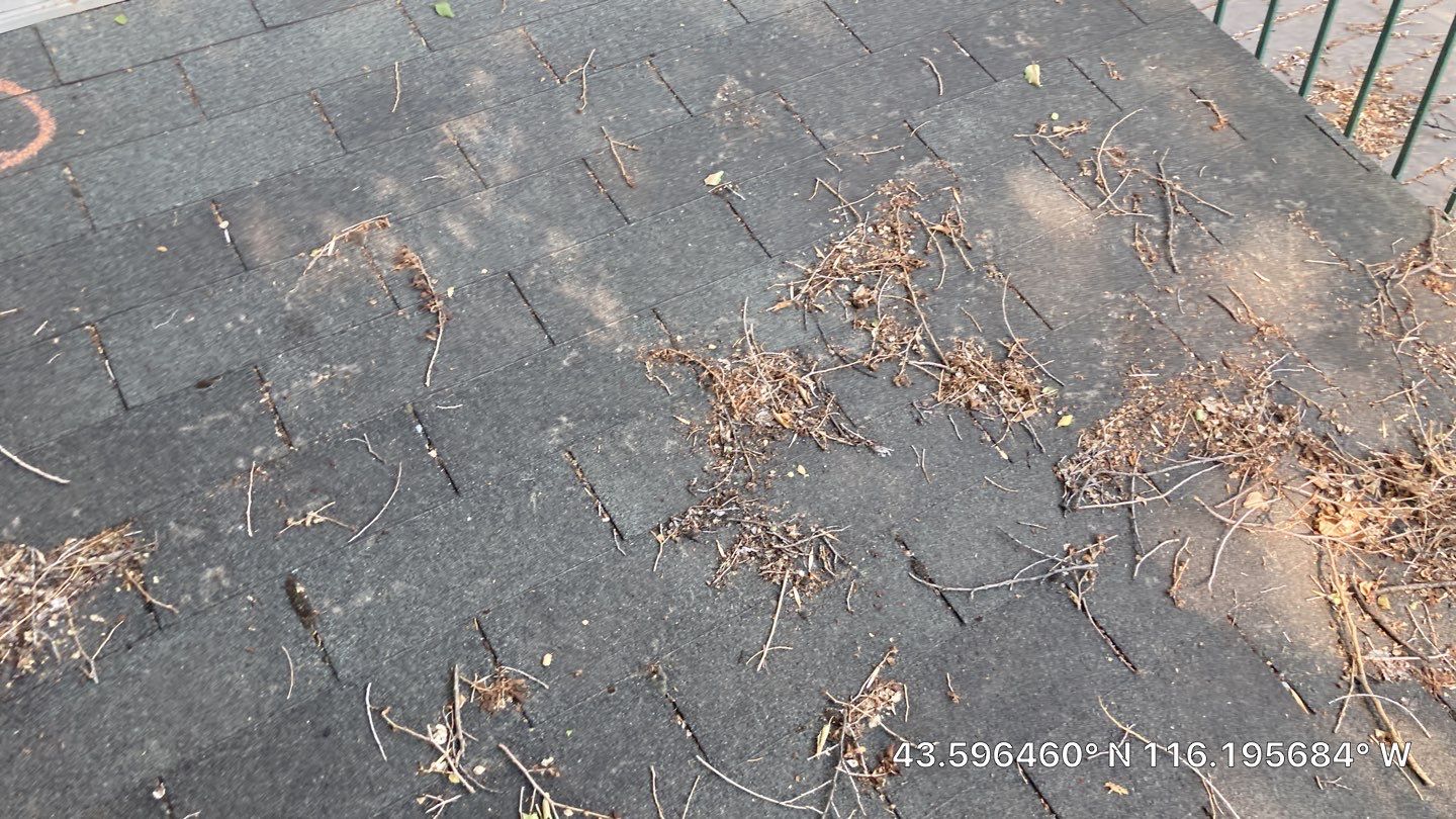 Grant Street Boise ID, Residential Roofing Installation using Owens Corning by ID Roofing LLC