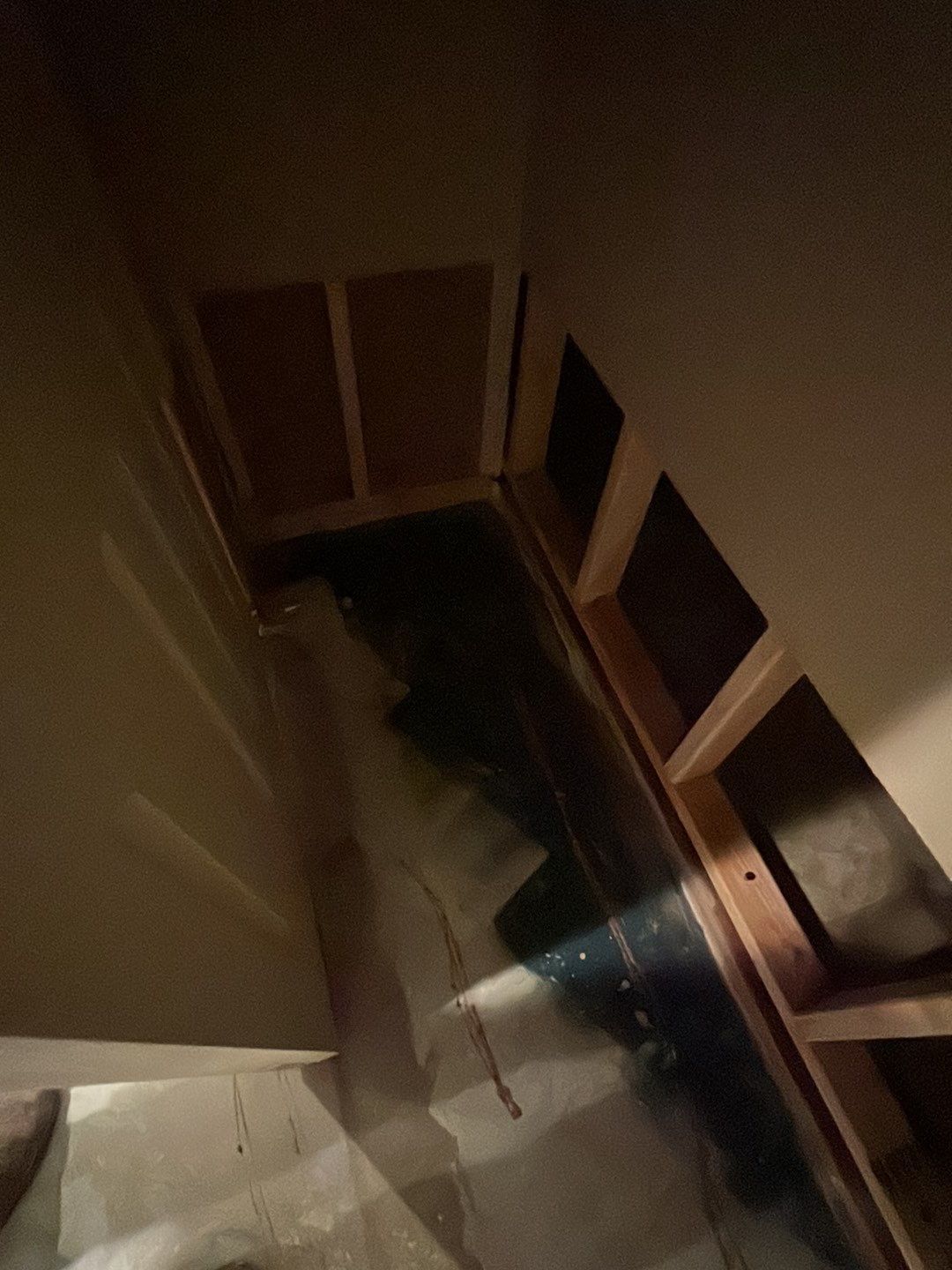 Mold Damage by Accountable Home Services