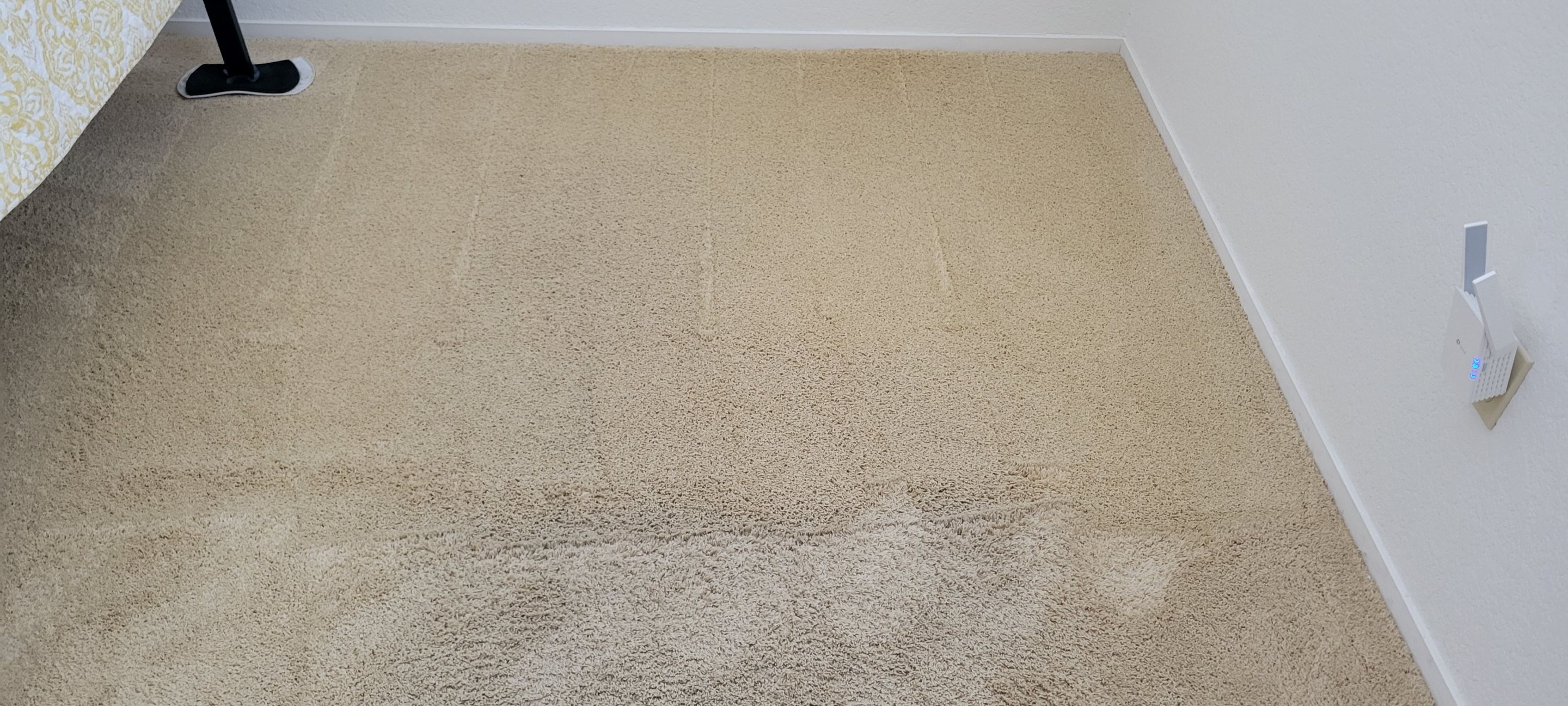 Carpet Re-stretching and Cleaning by Ardent Carpet Restore LLC