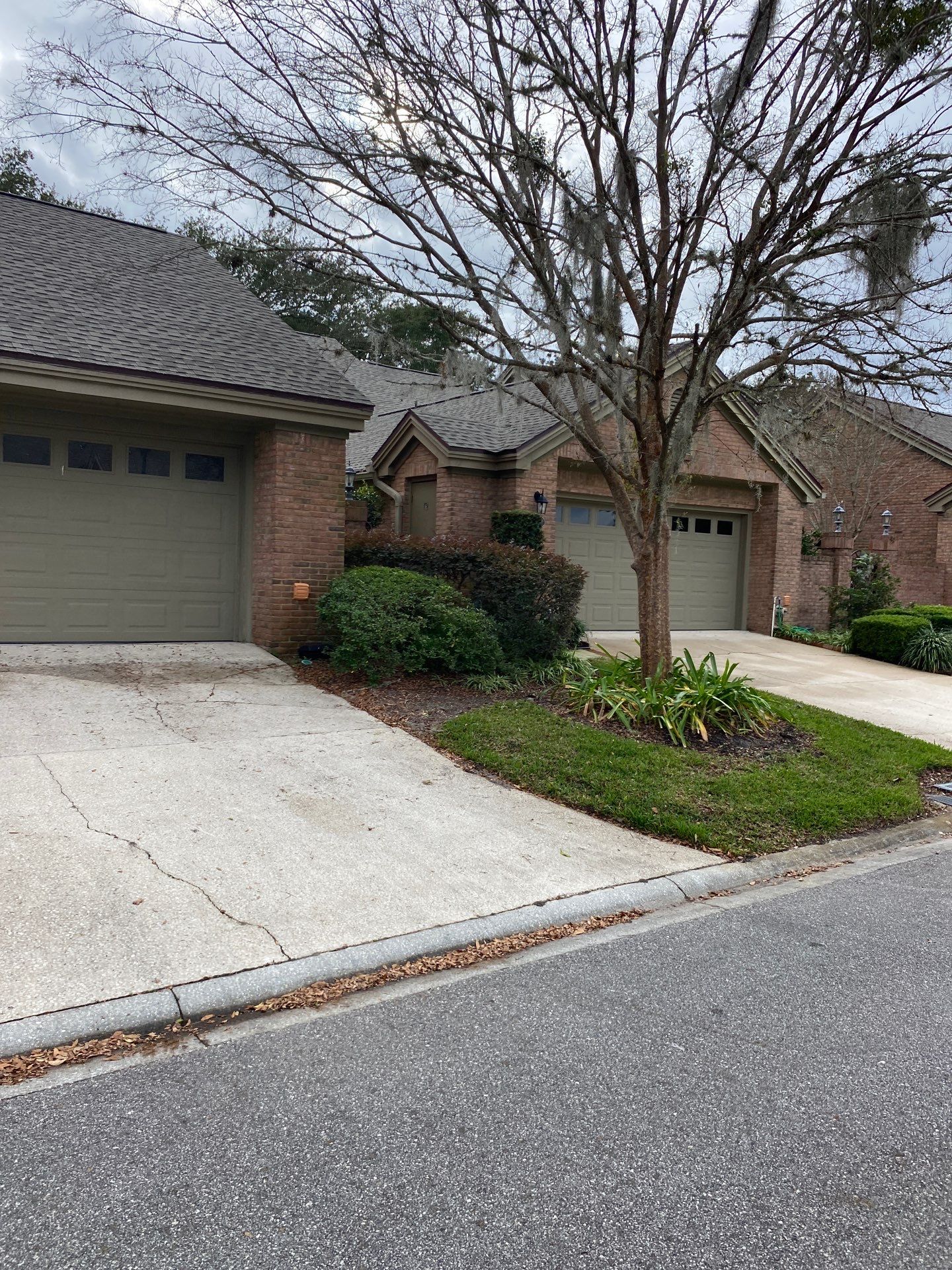 Deerwood Pointe | Tree Removal & Pine Straw Installation by ProGreen Services