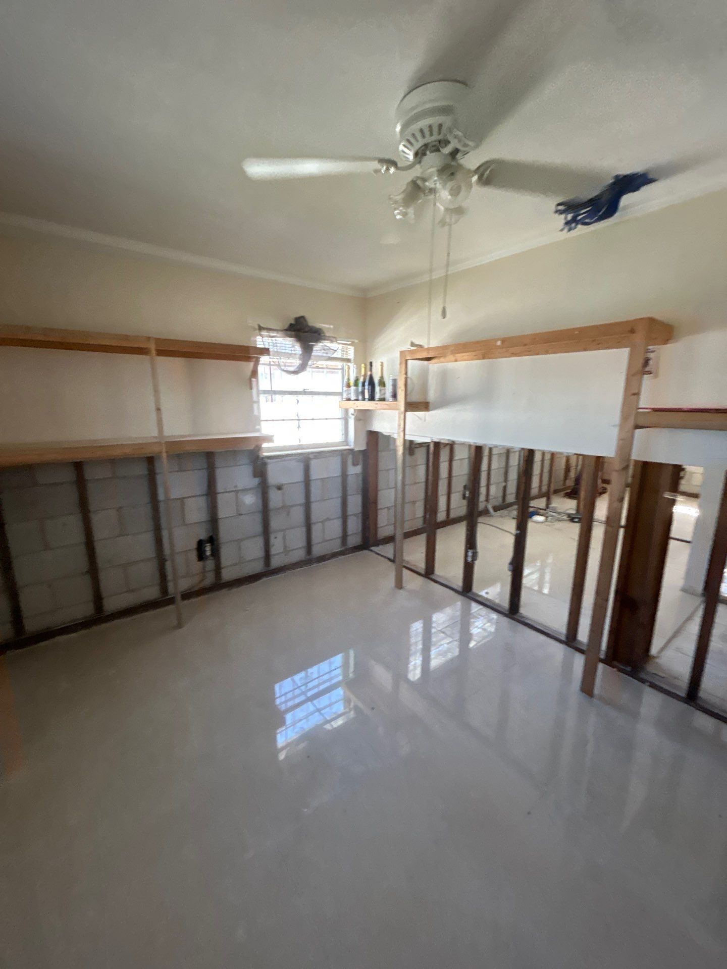 Tampa Mold Removal by Ampm Restoration Services
